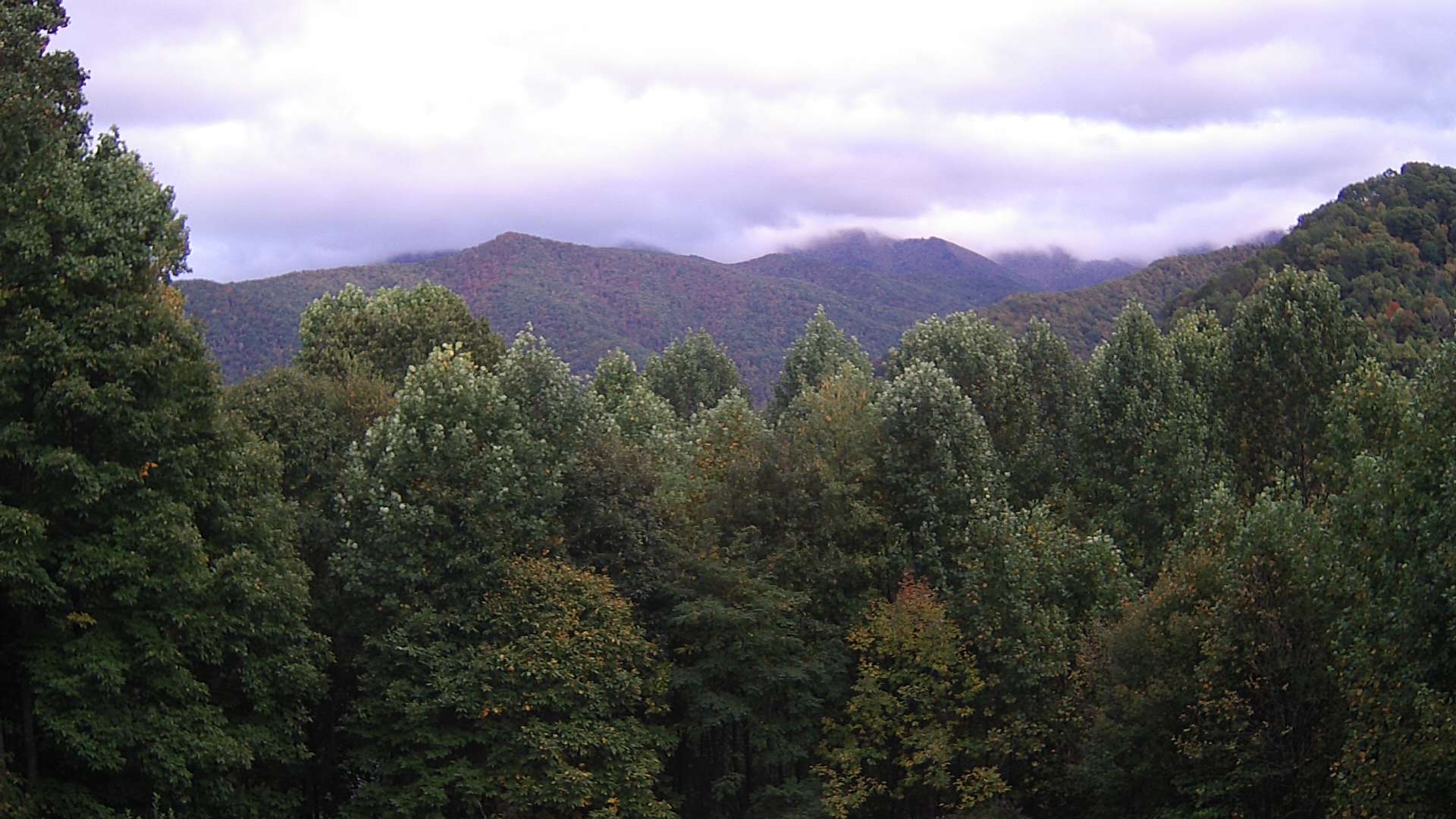 click for next image... slideshow image