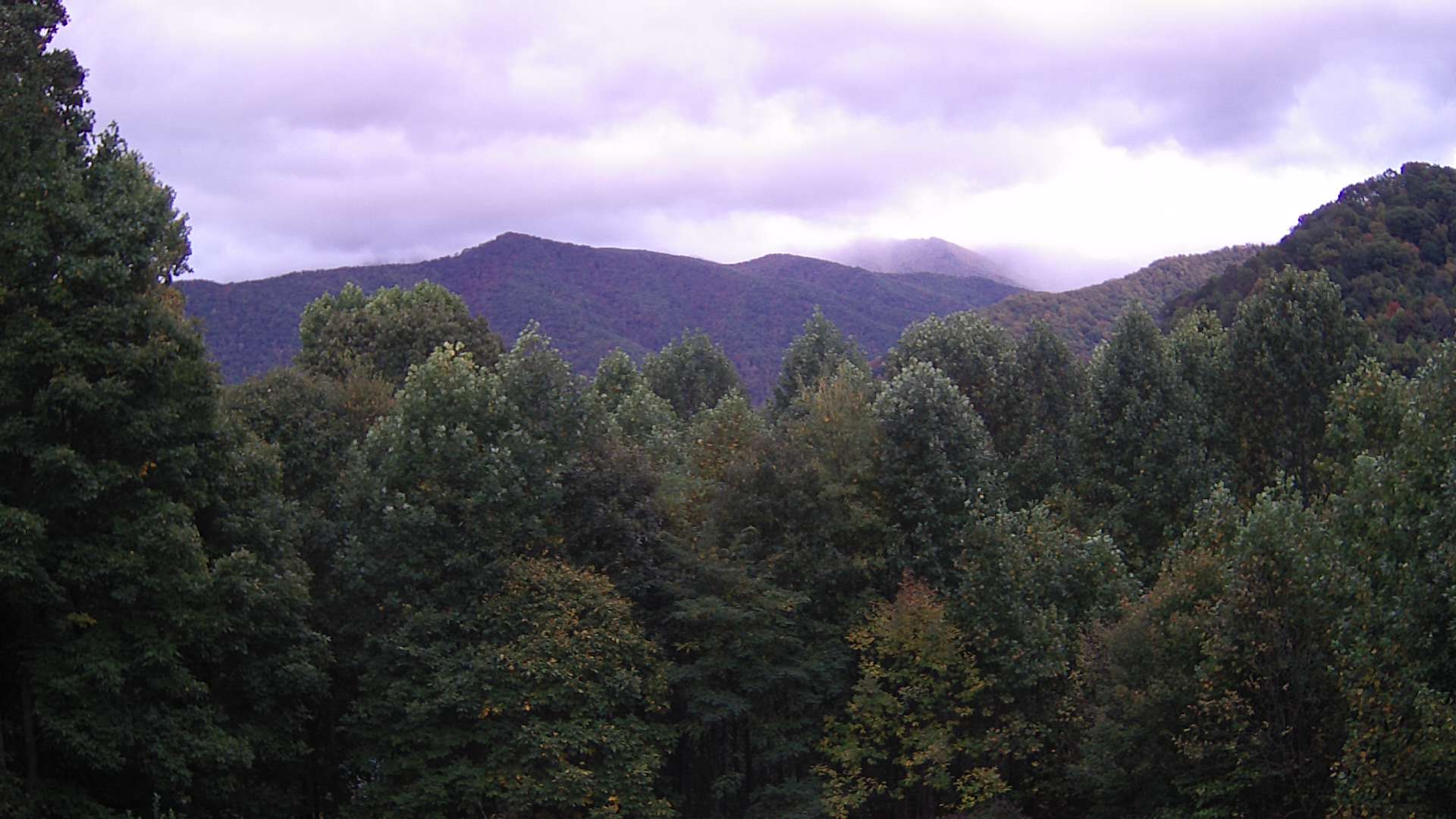 click for next image... slideshow image