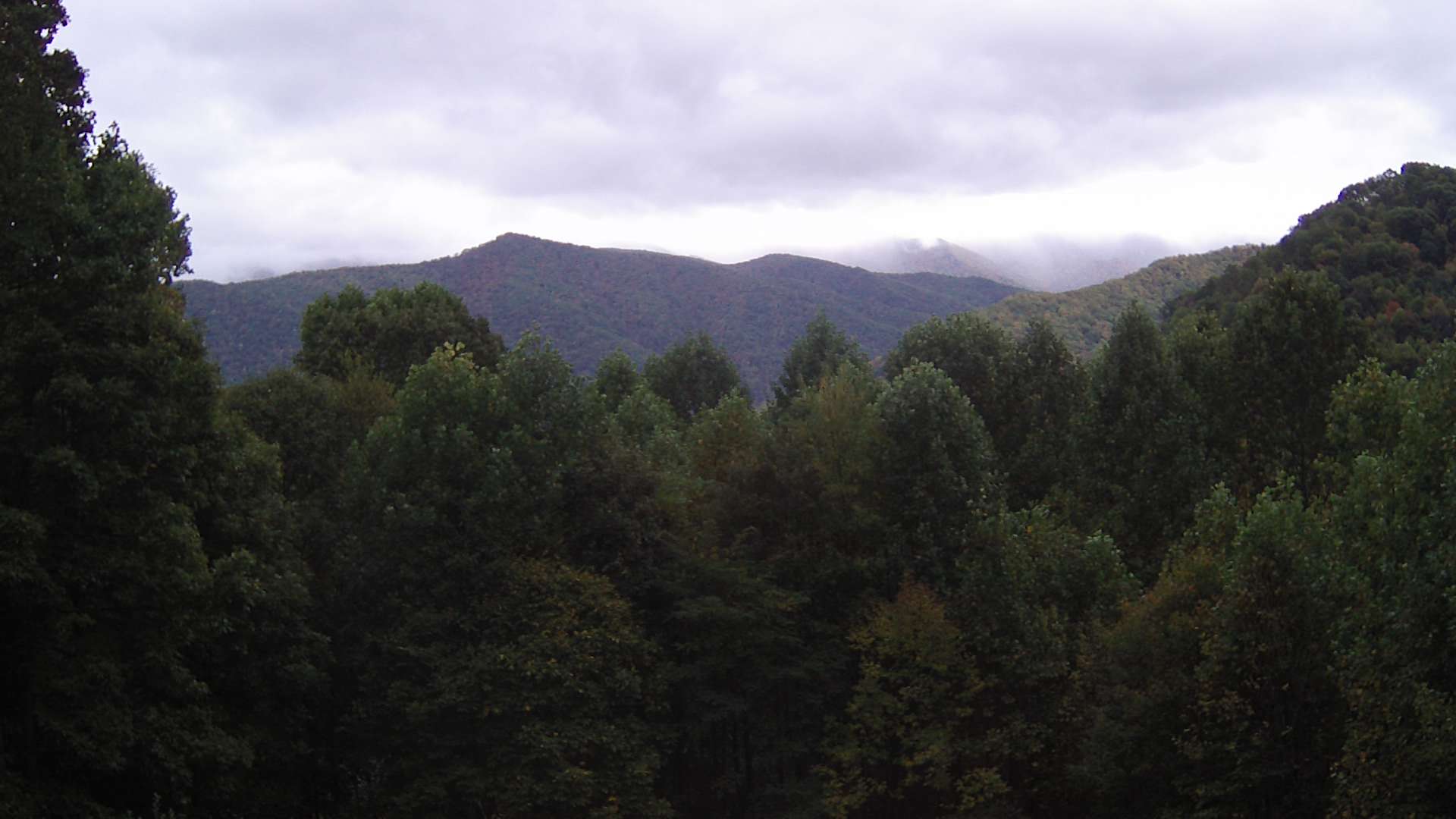 click for next image... slideshow image