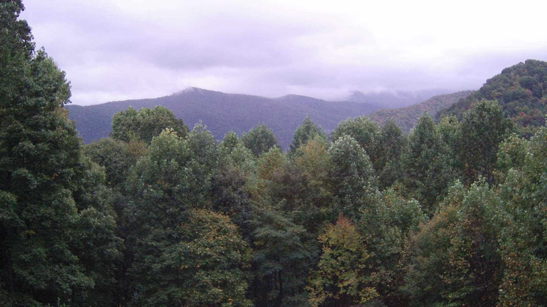 click for next image... slideshow image