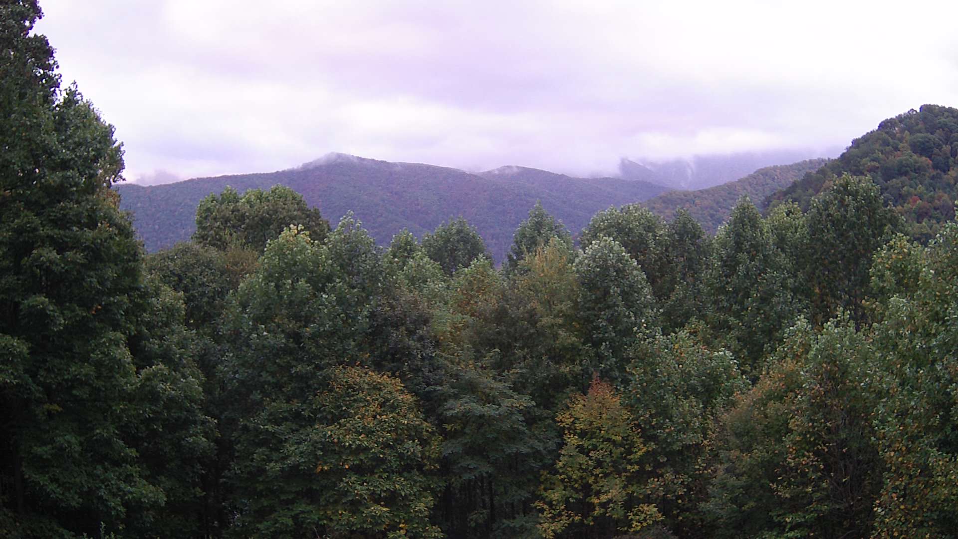 click for next image... slideshow image