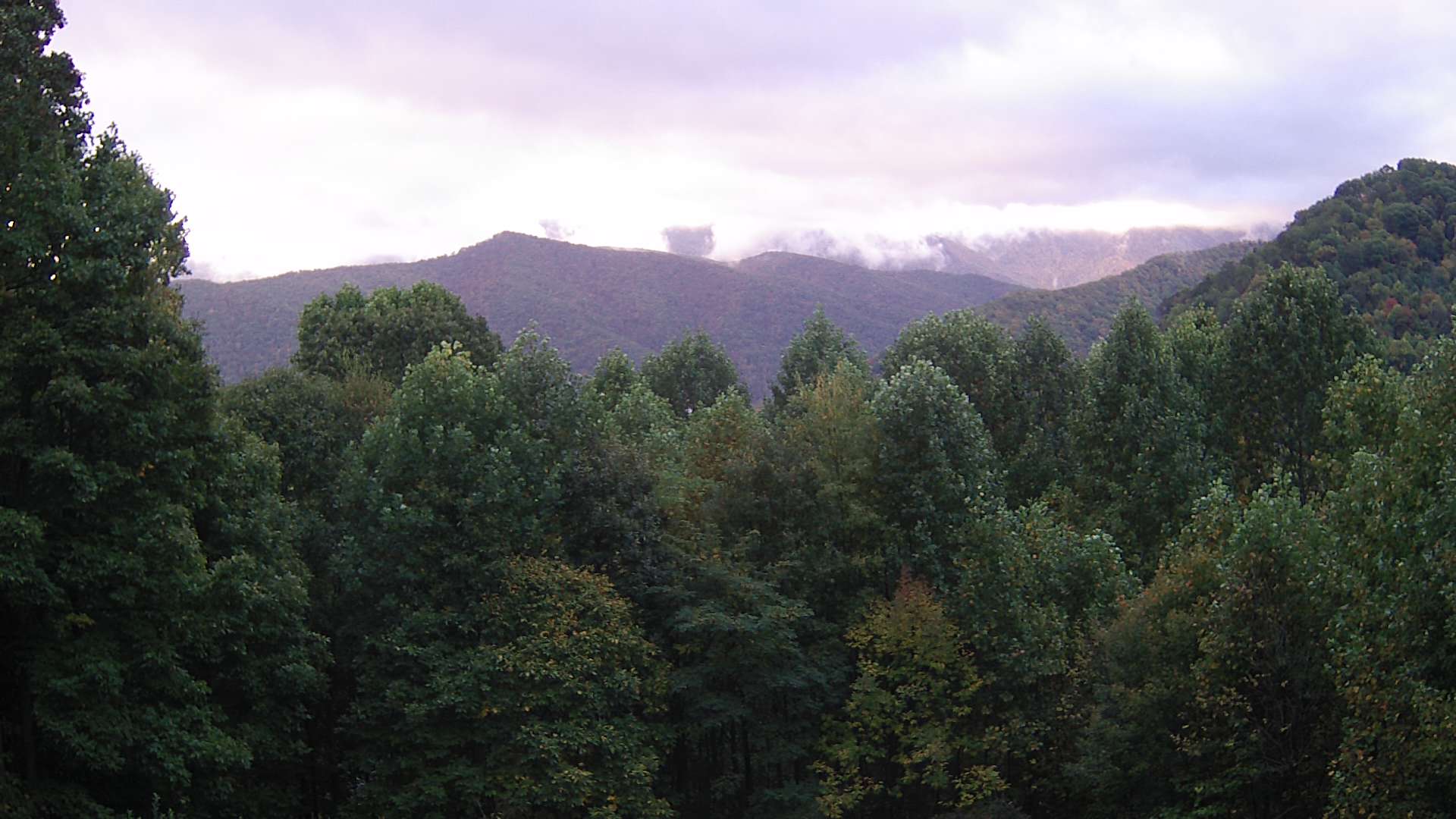 click for next image... slideshow image