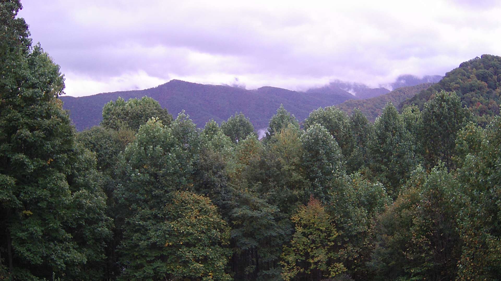 click for next image... slideshow image