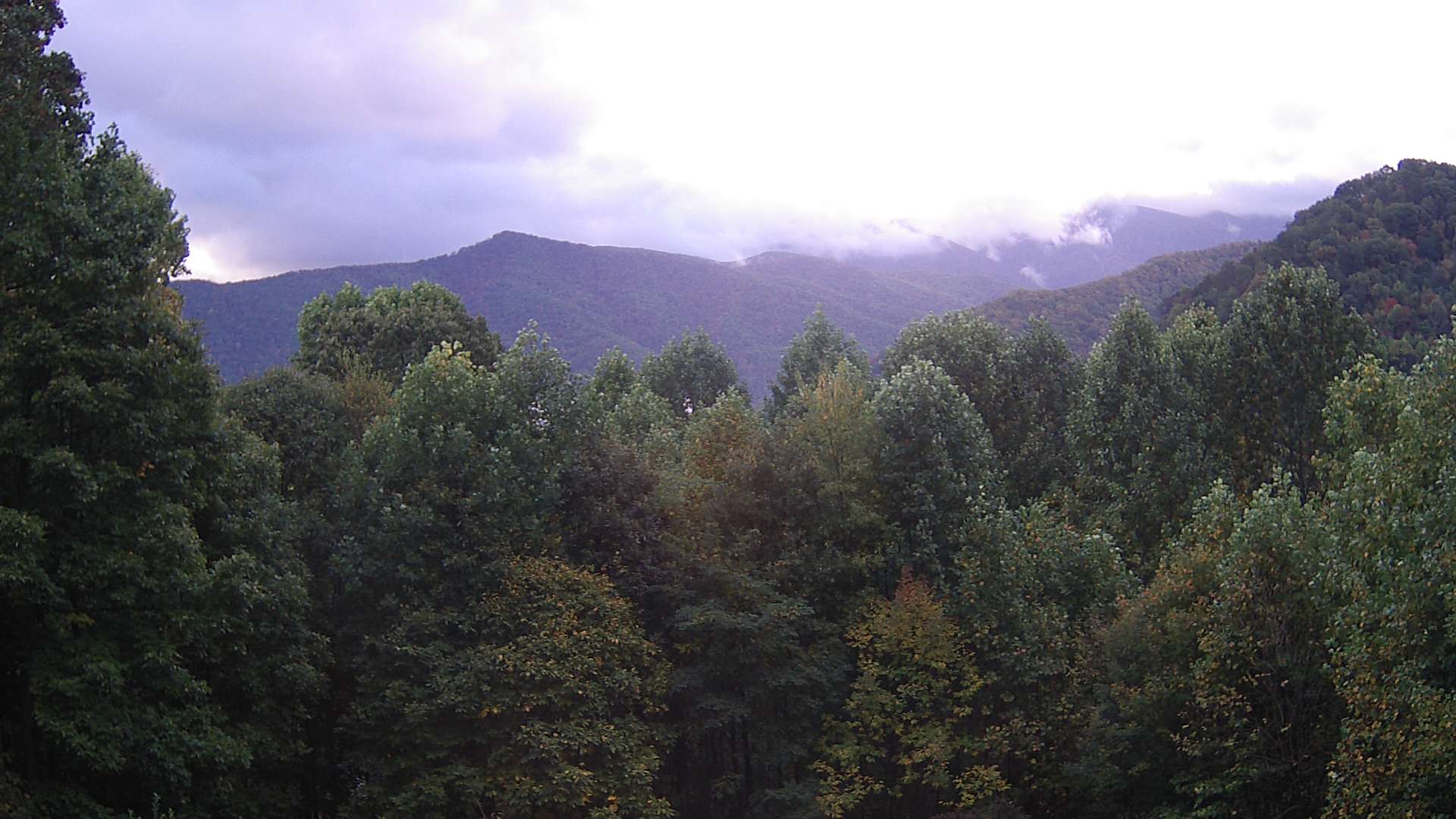 click for next image... slideshow image