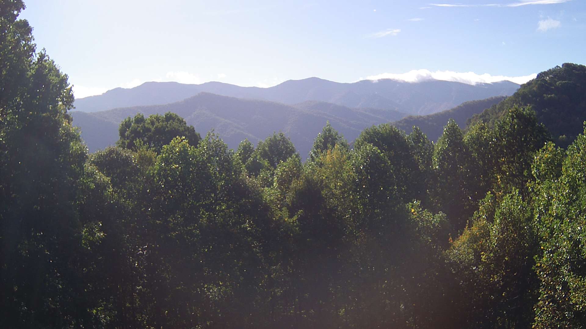 click for next image... slideshow image