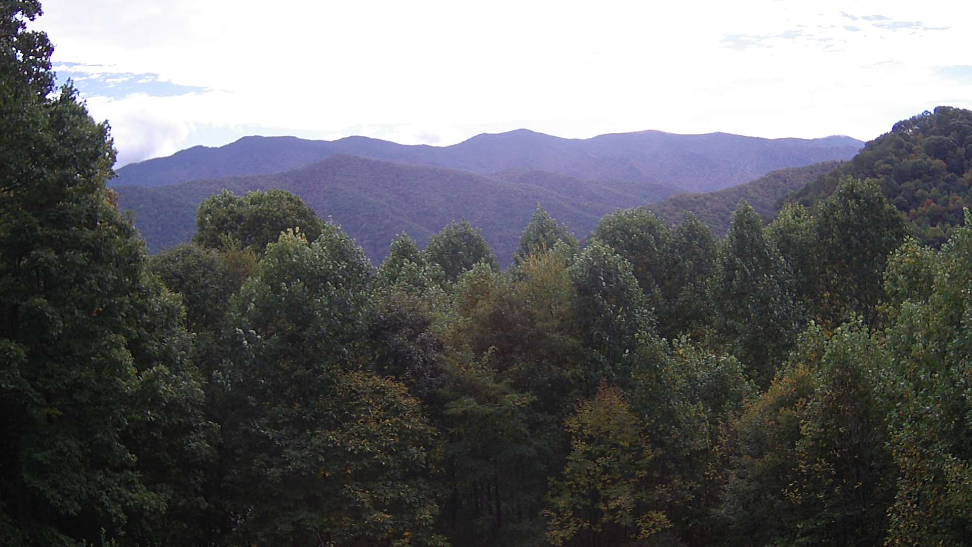 click for next image... slideshow image