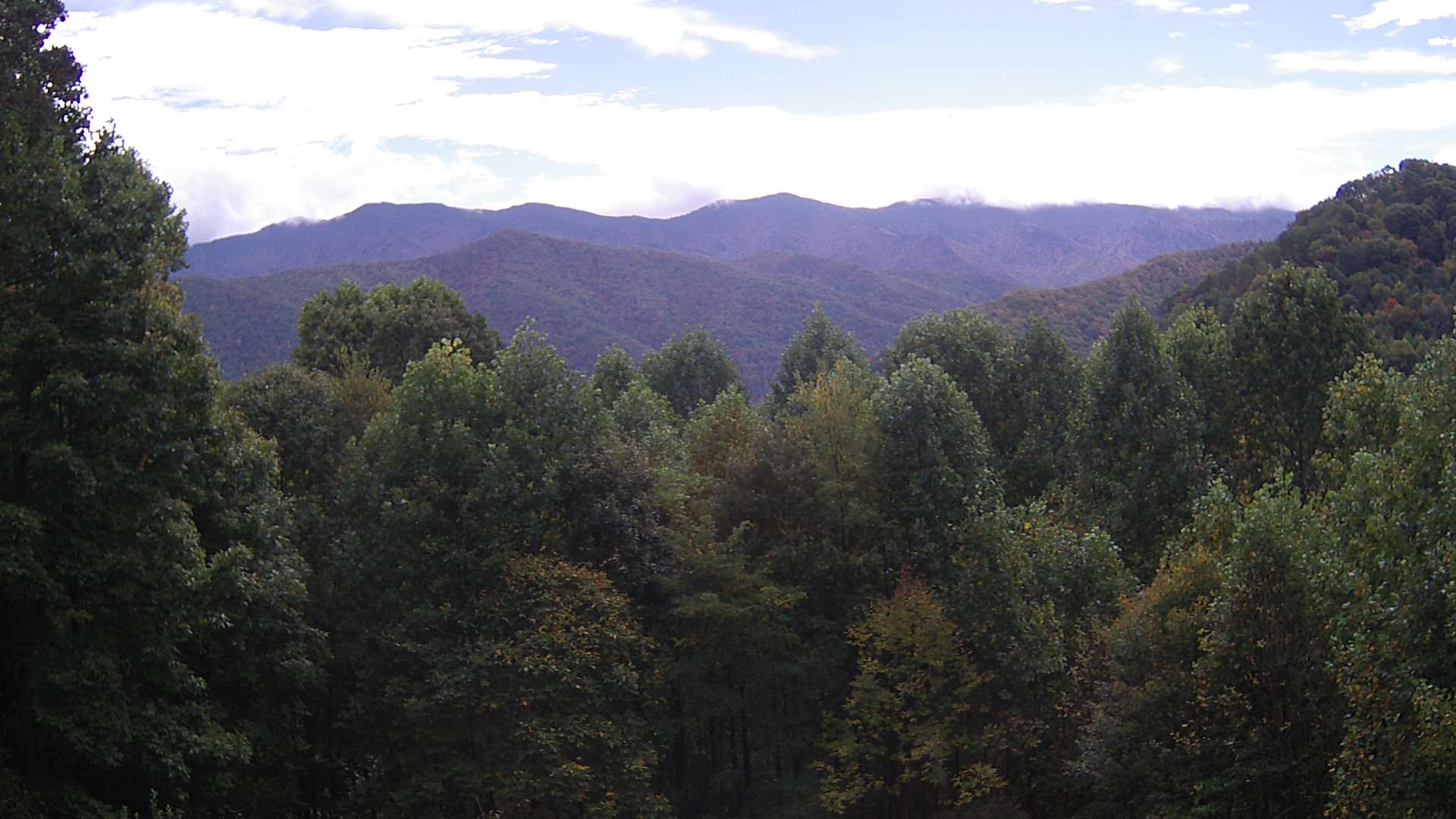 click for next image... slideshow image