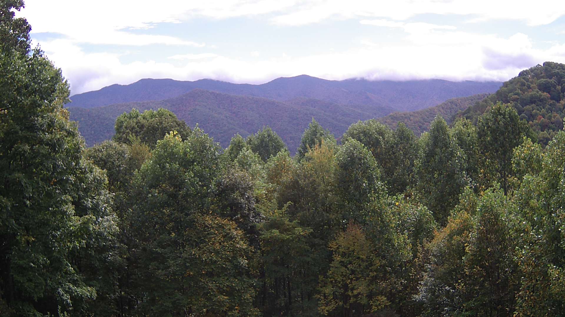 click for next image... slideshow image