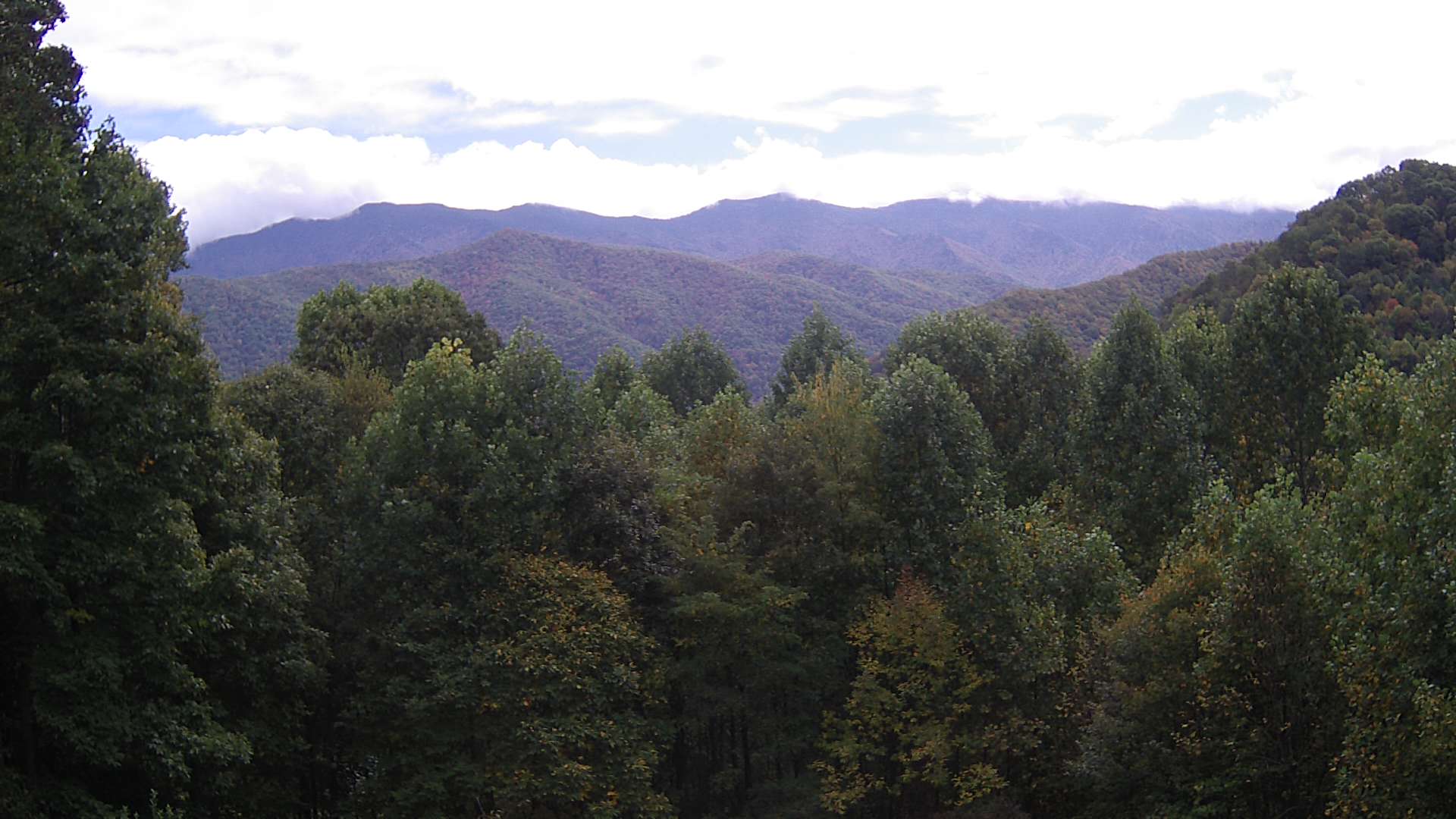 click for next image... slideshow image