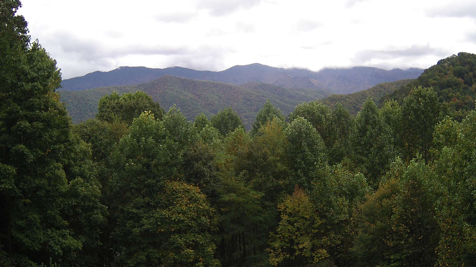 click for next image... slideshow image