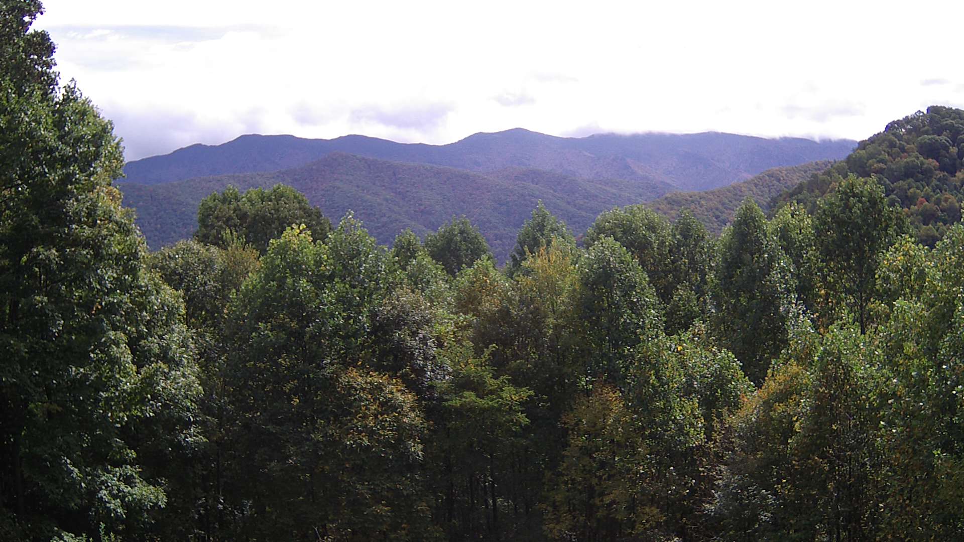 click for next image... slideshow image