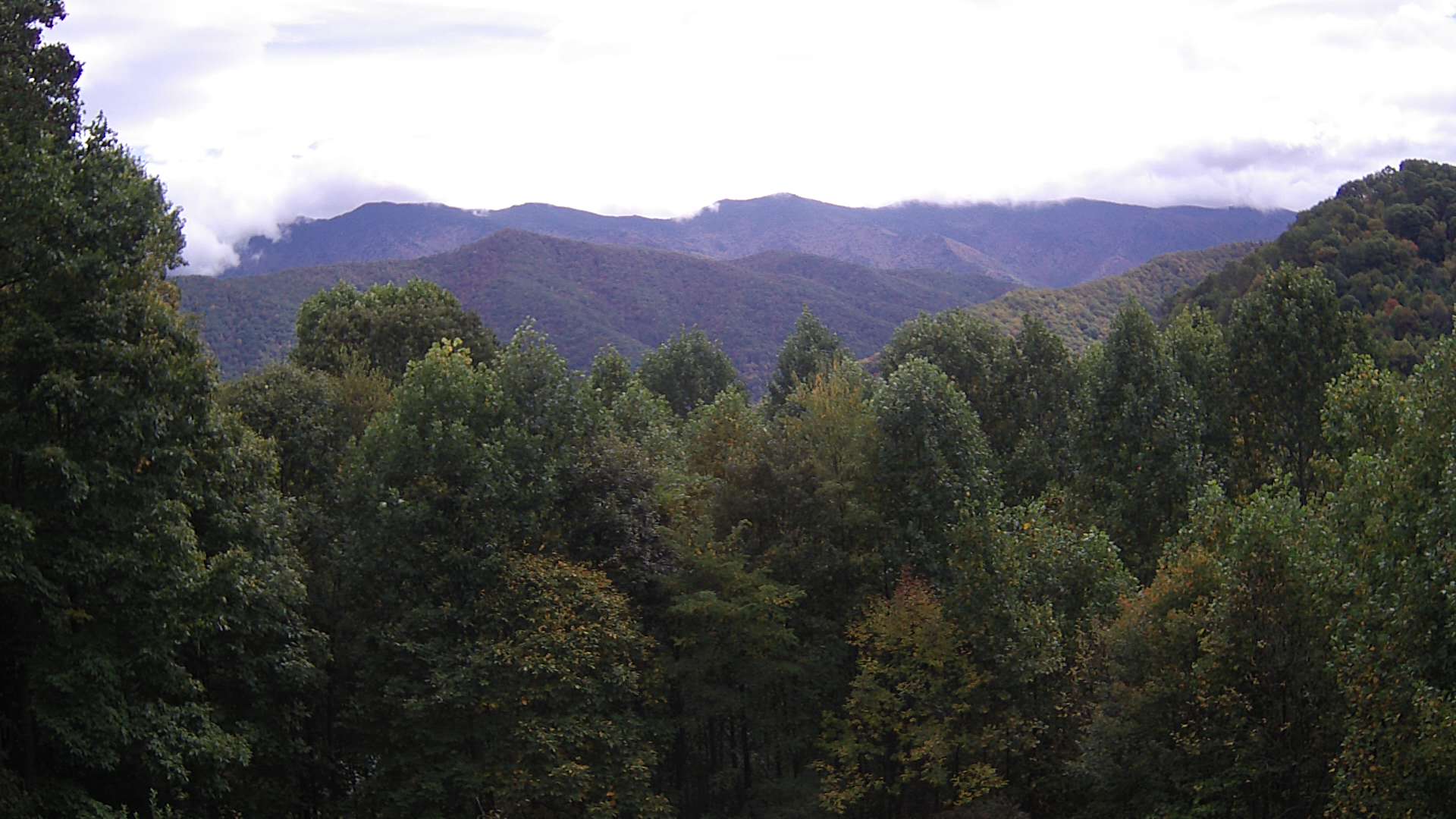 click for next image... slideshow image