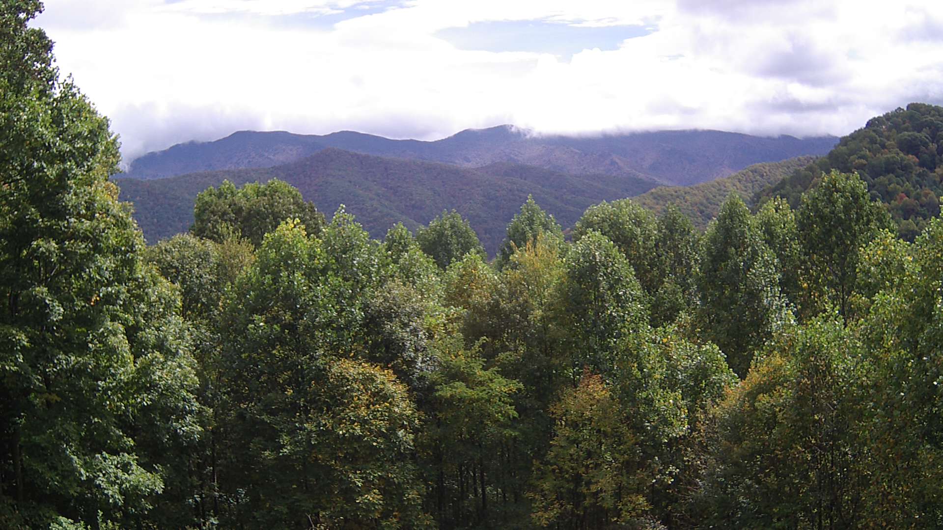 click for next image... slideshow image