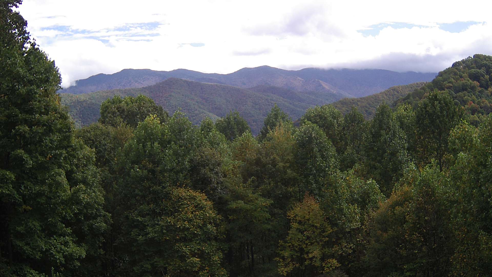 click for next image... slideshow image