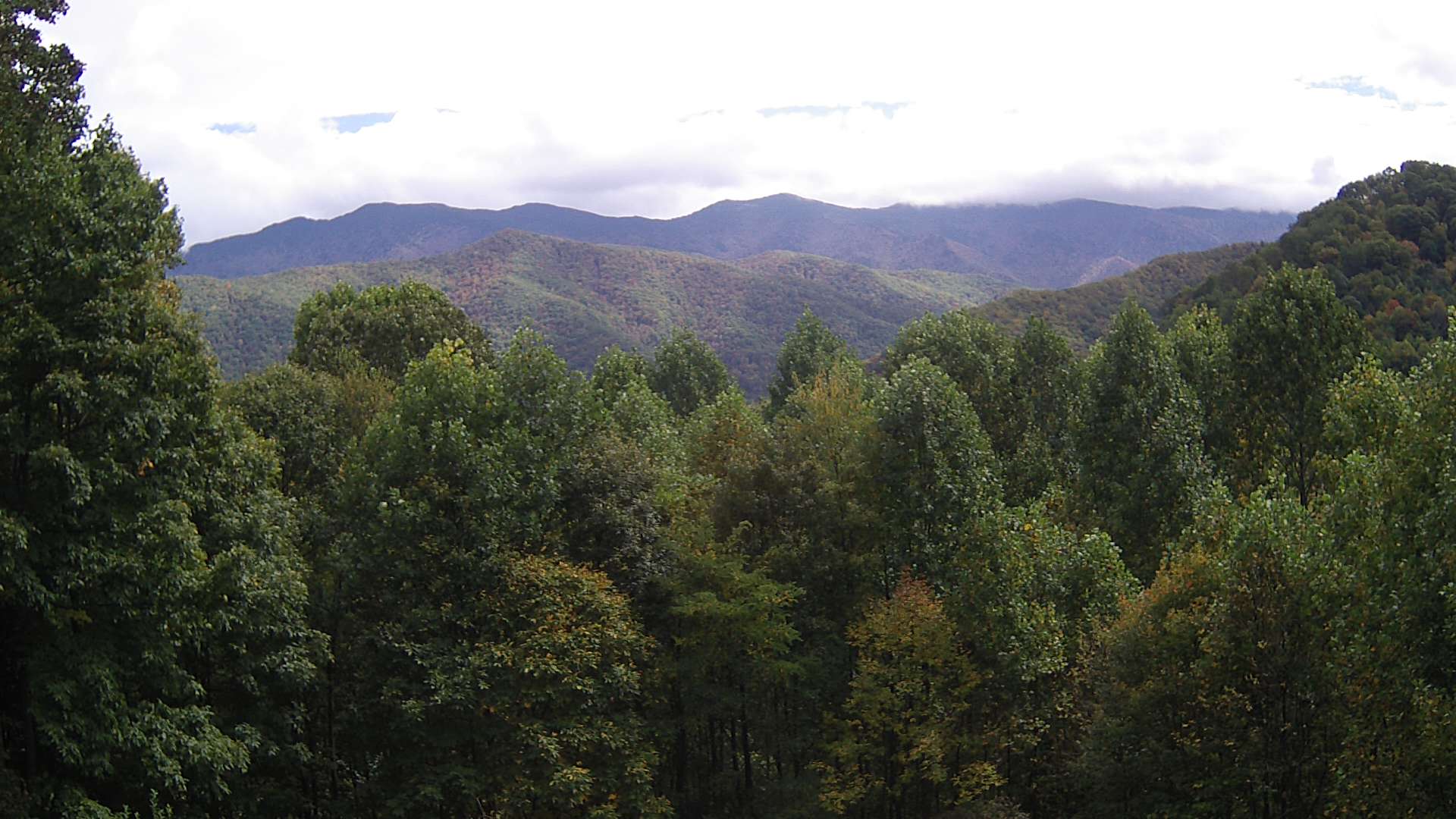 click for next image... slideshow image