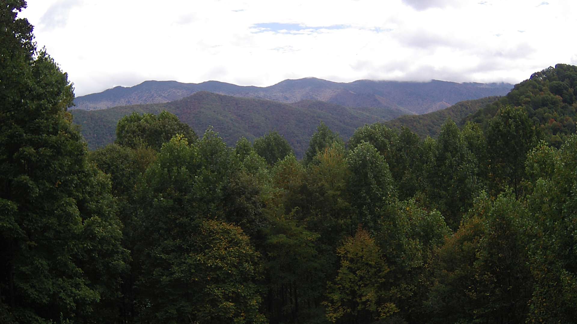 click for next image... slideshow image