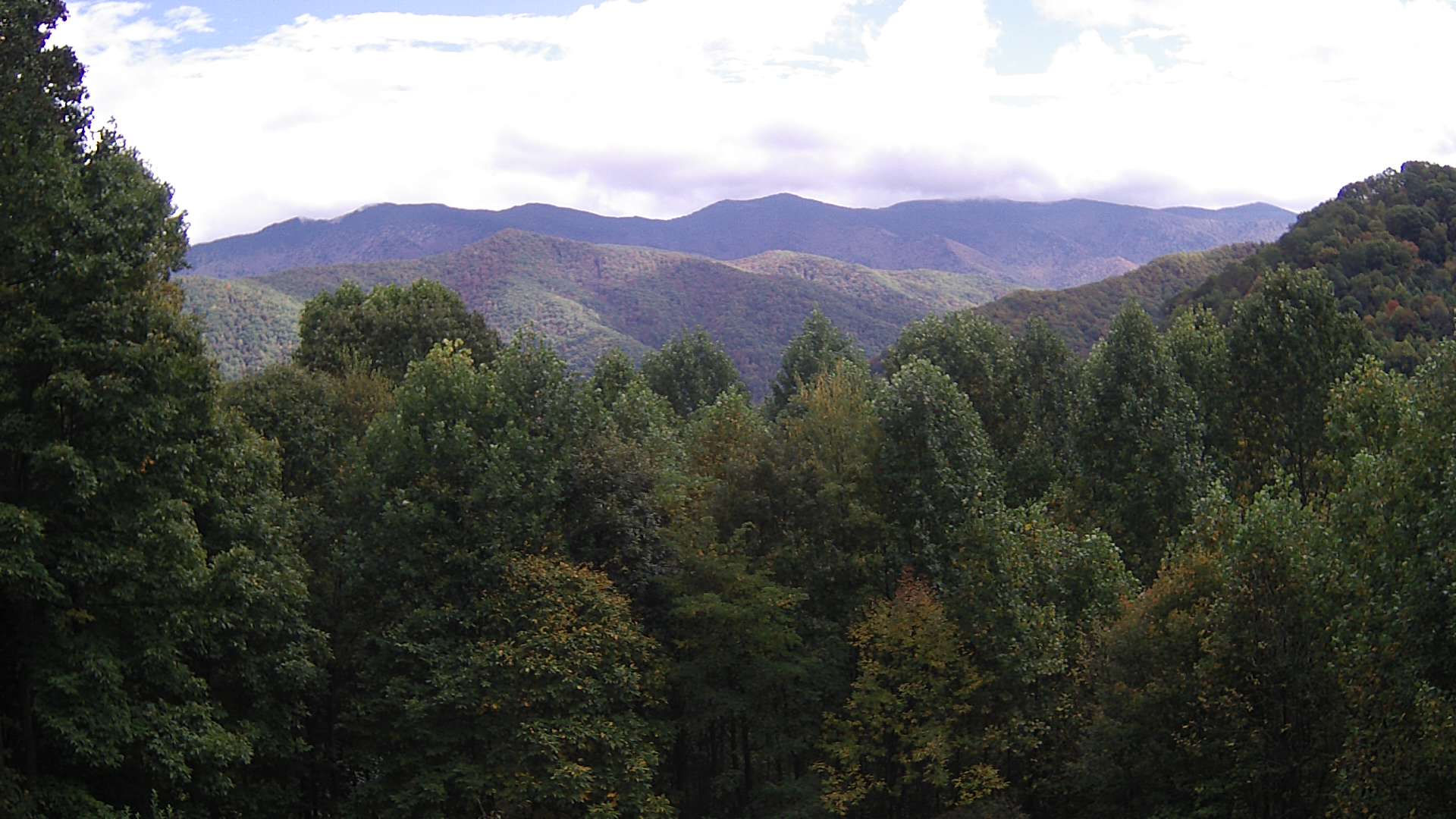 click for next image... slideshow image