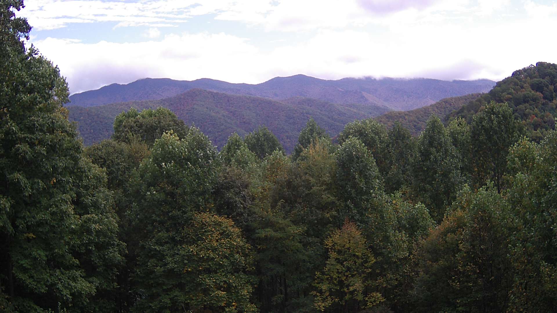 click for next image... slideshow image