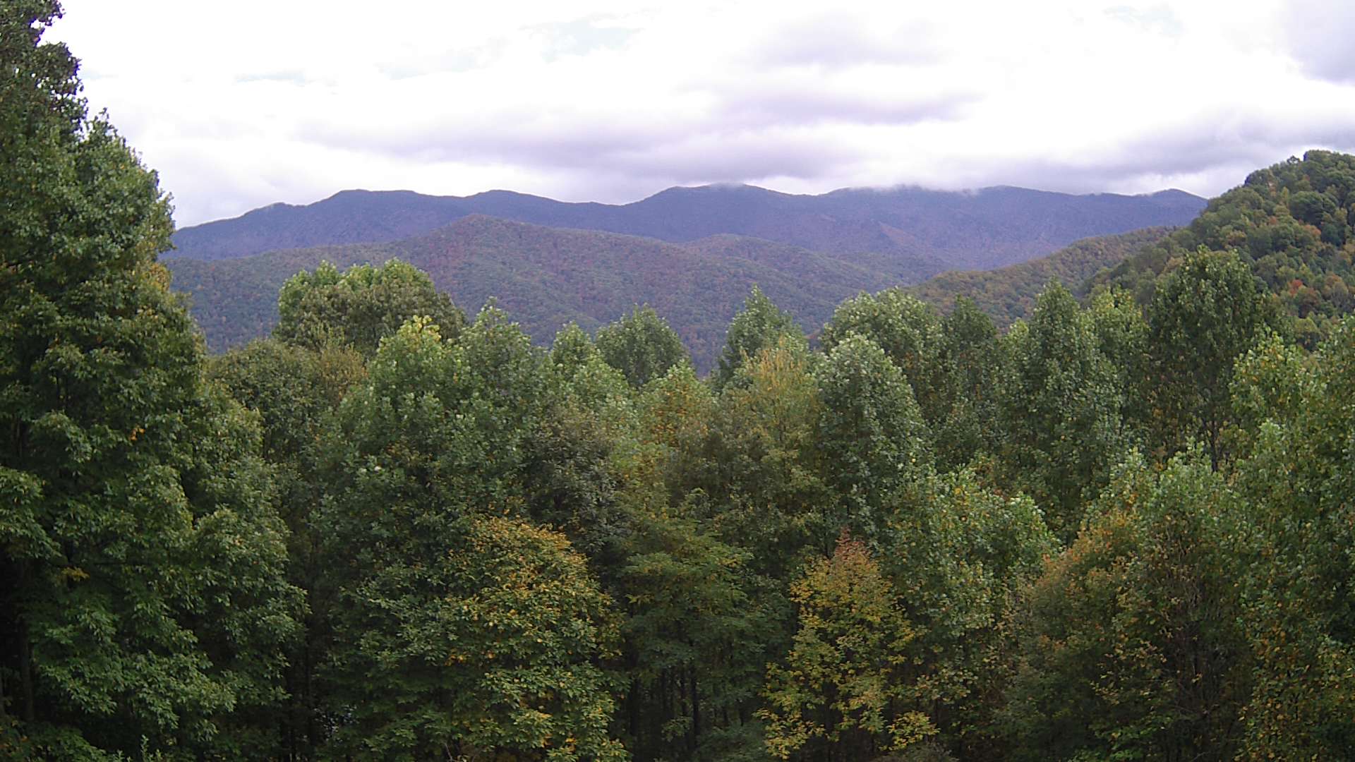 click for next image... slideshow image