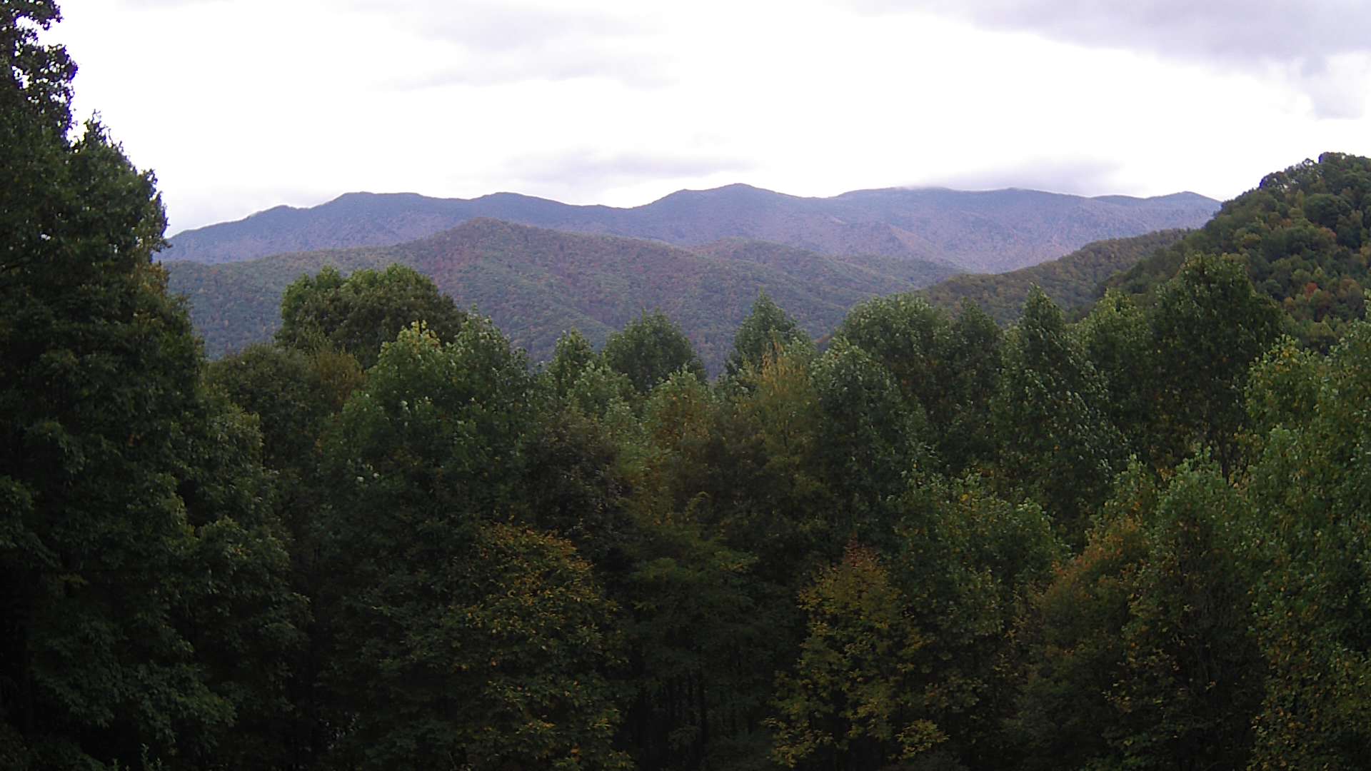 click for next image... slideshow image