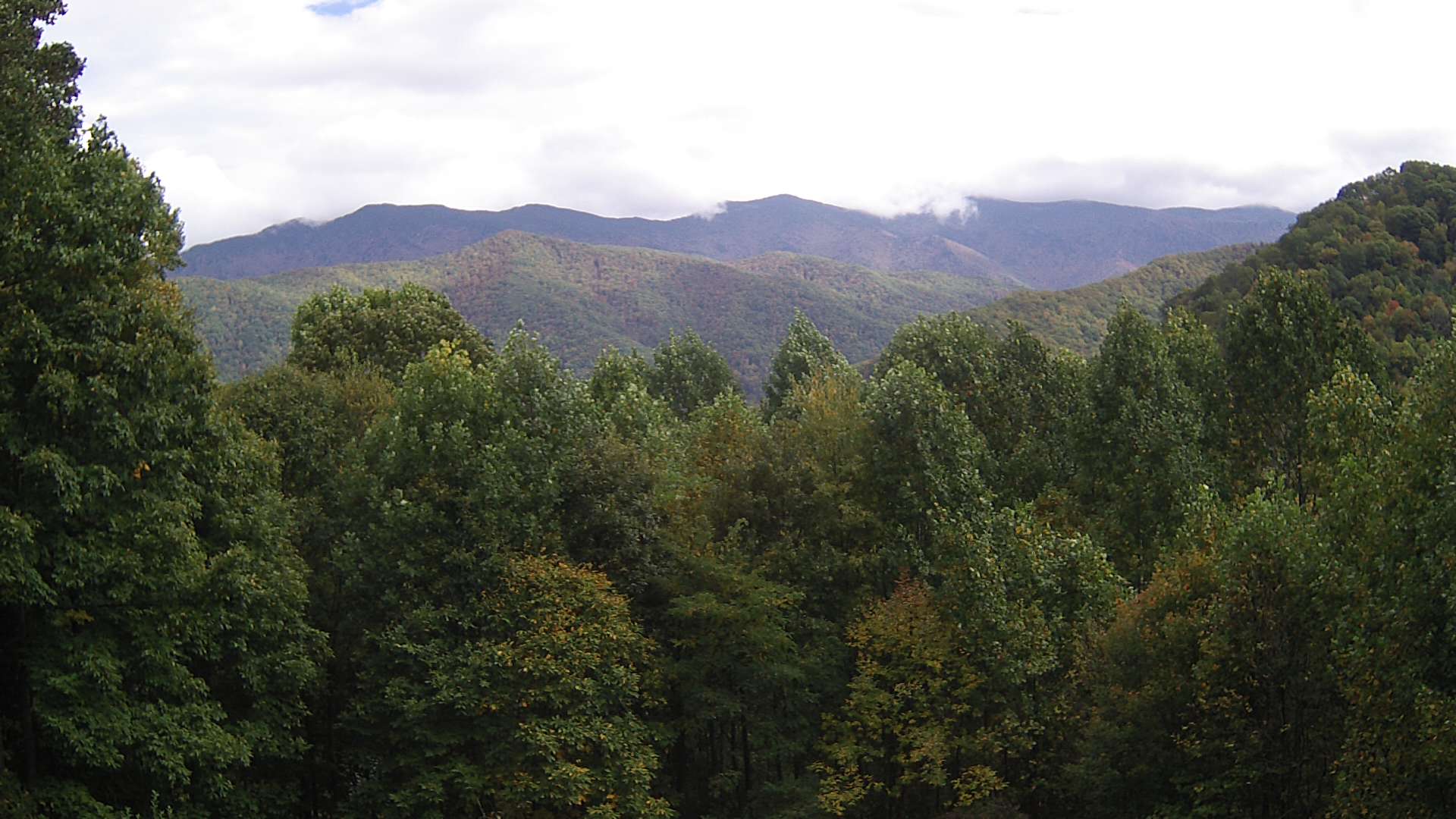 click for next image... slideshow image