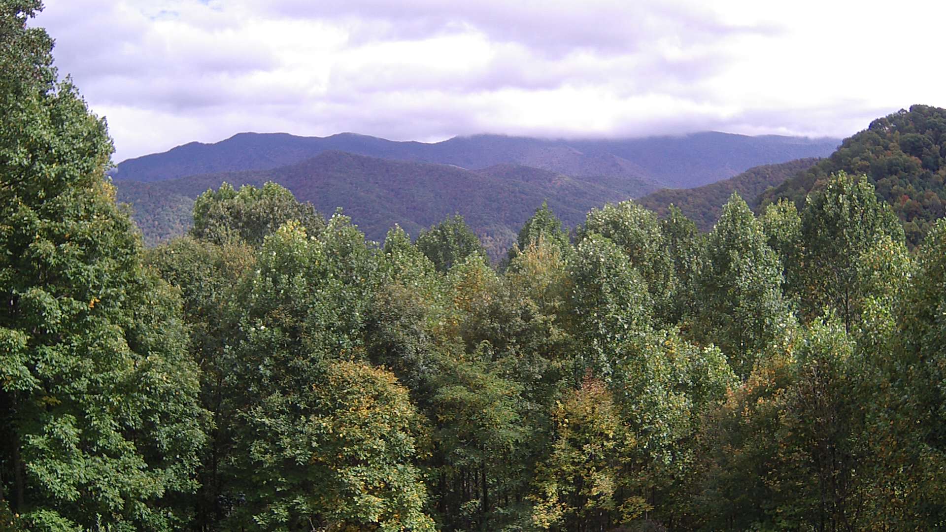 click for next image... slideshow image