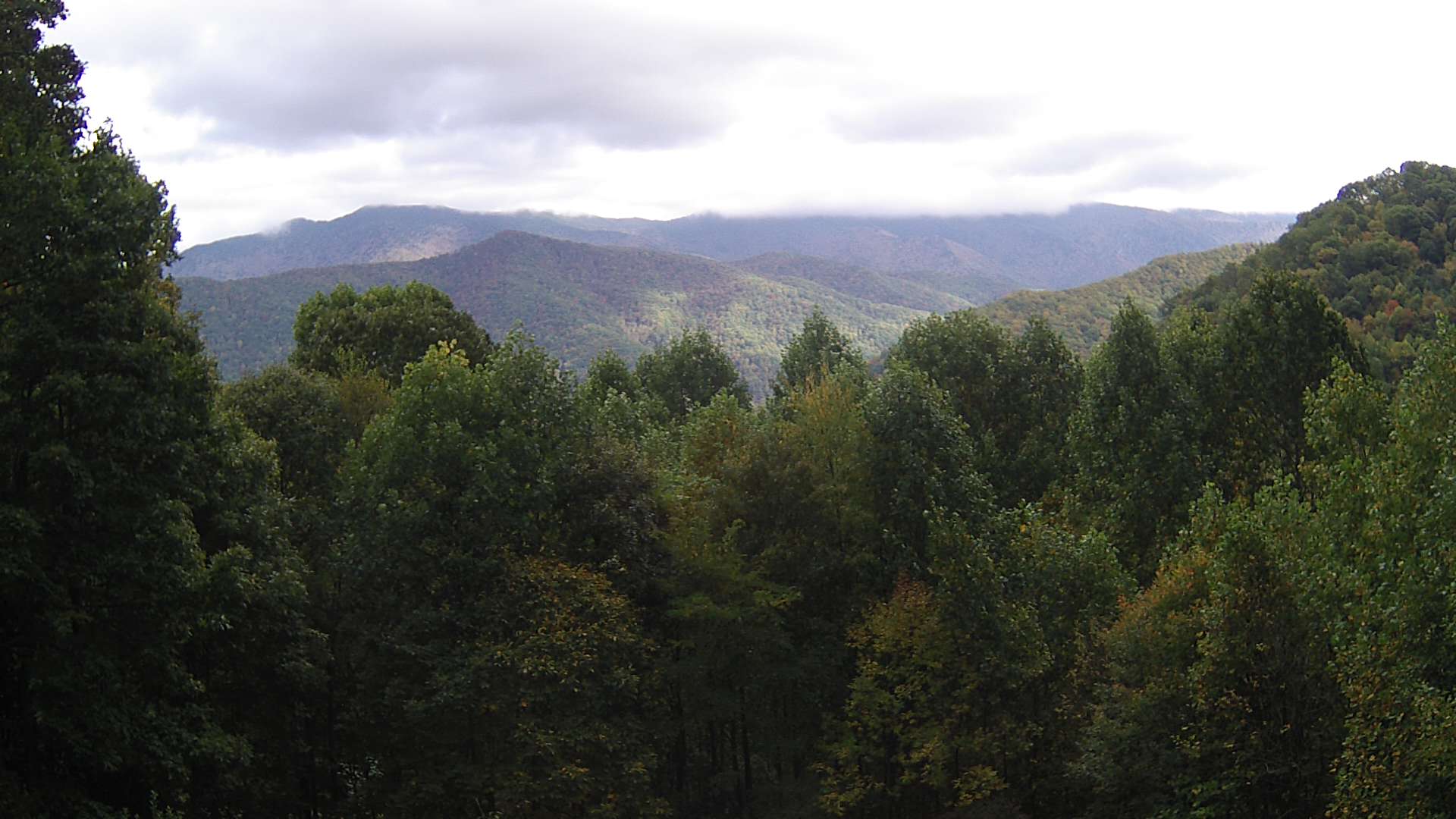 click for next image... slideshow image