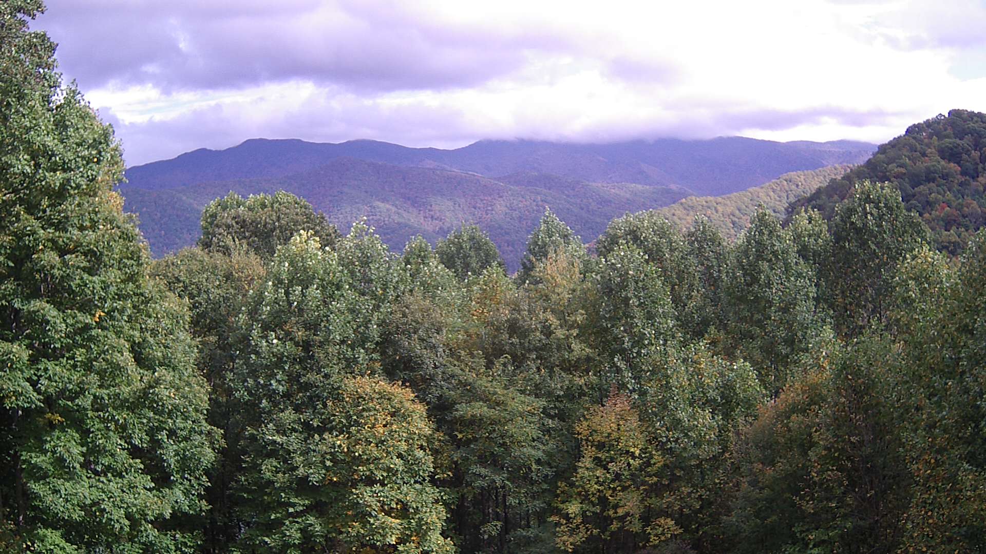 click for next image... slideshow image