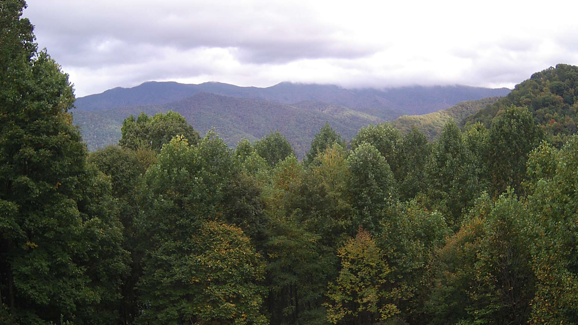 click for next image... slideshow image