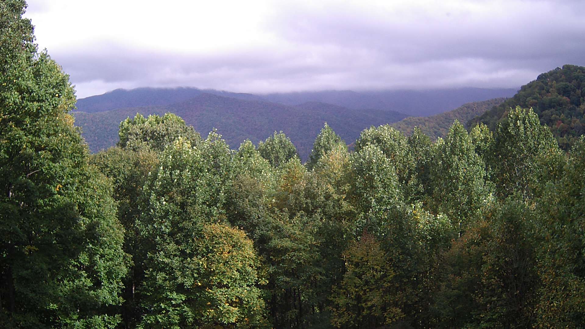 click for next image... slideshow image