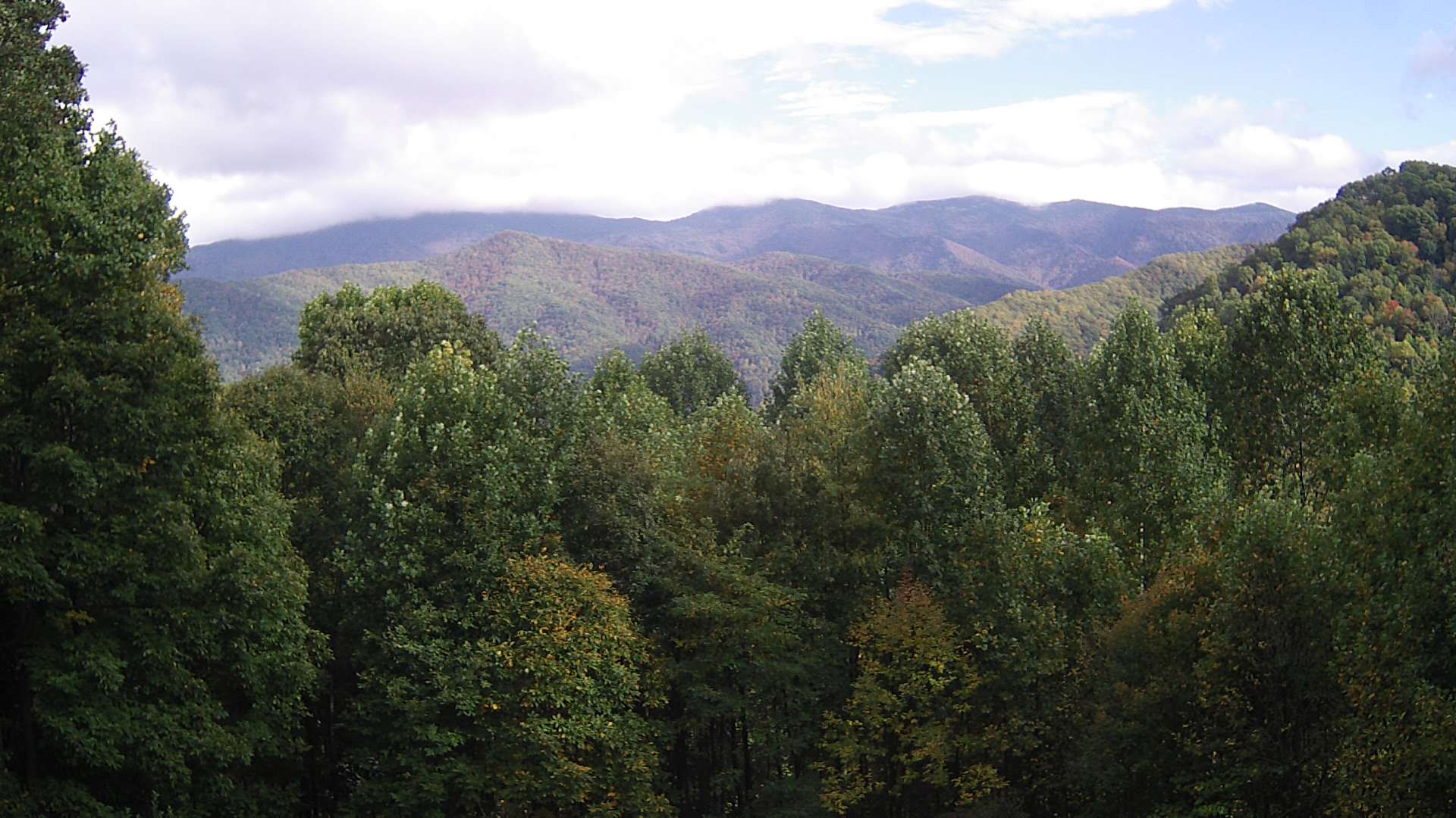 click for next image... slideshow image