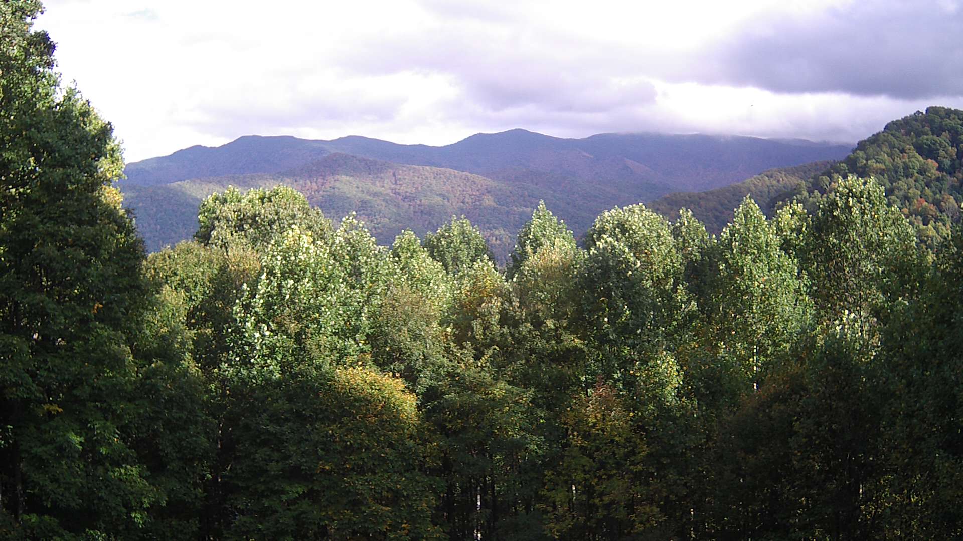 click for next image... slideshow image