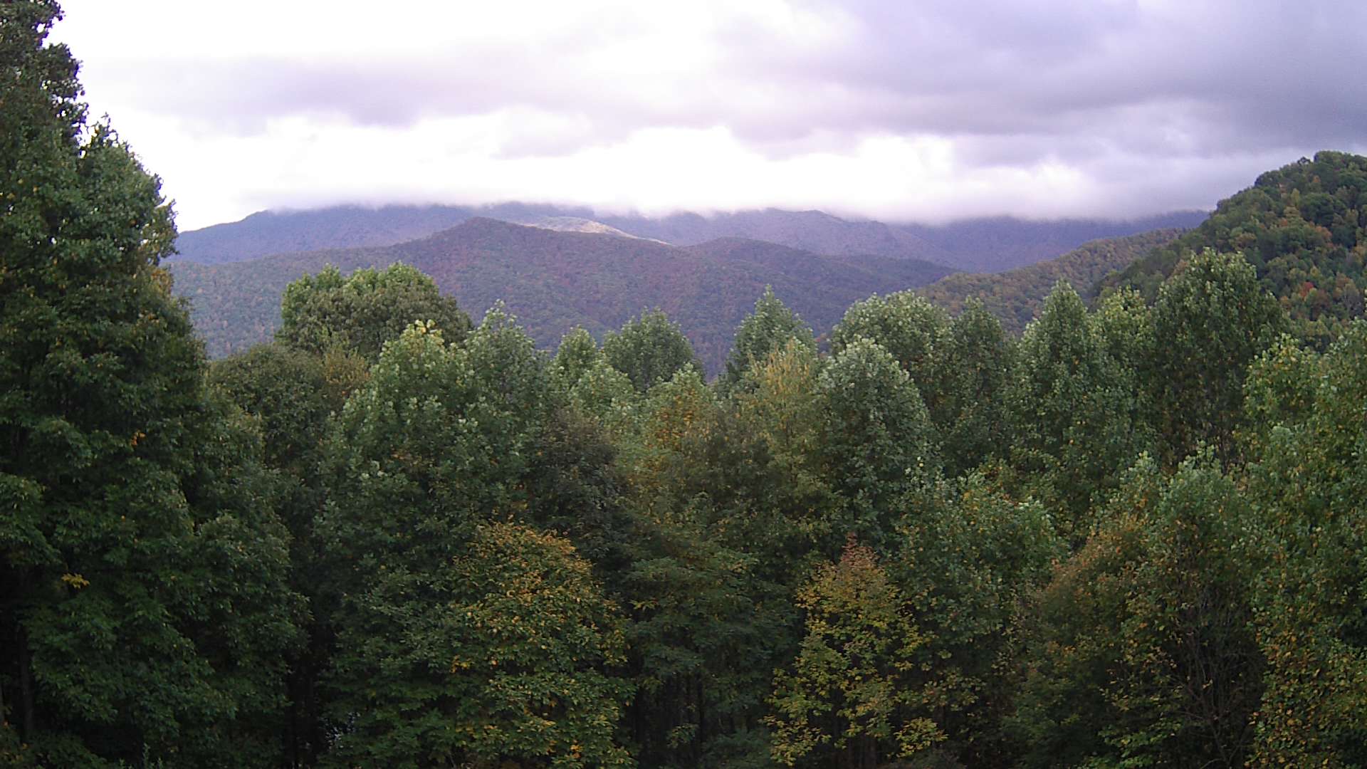 click for next image... slideshow image