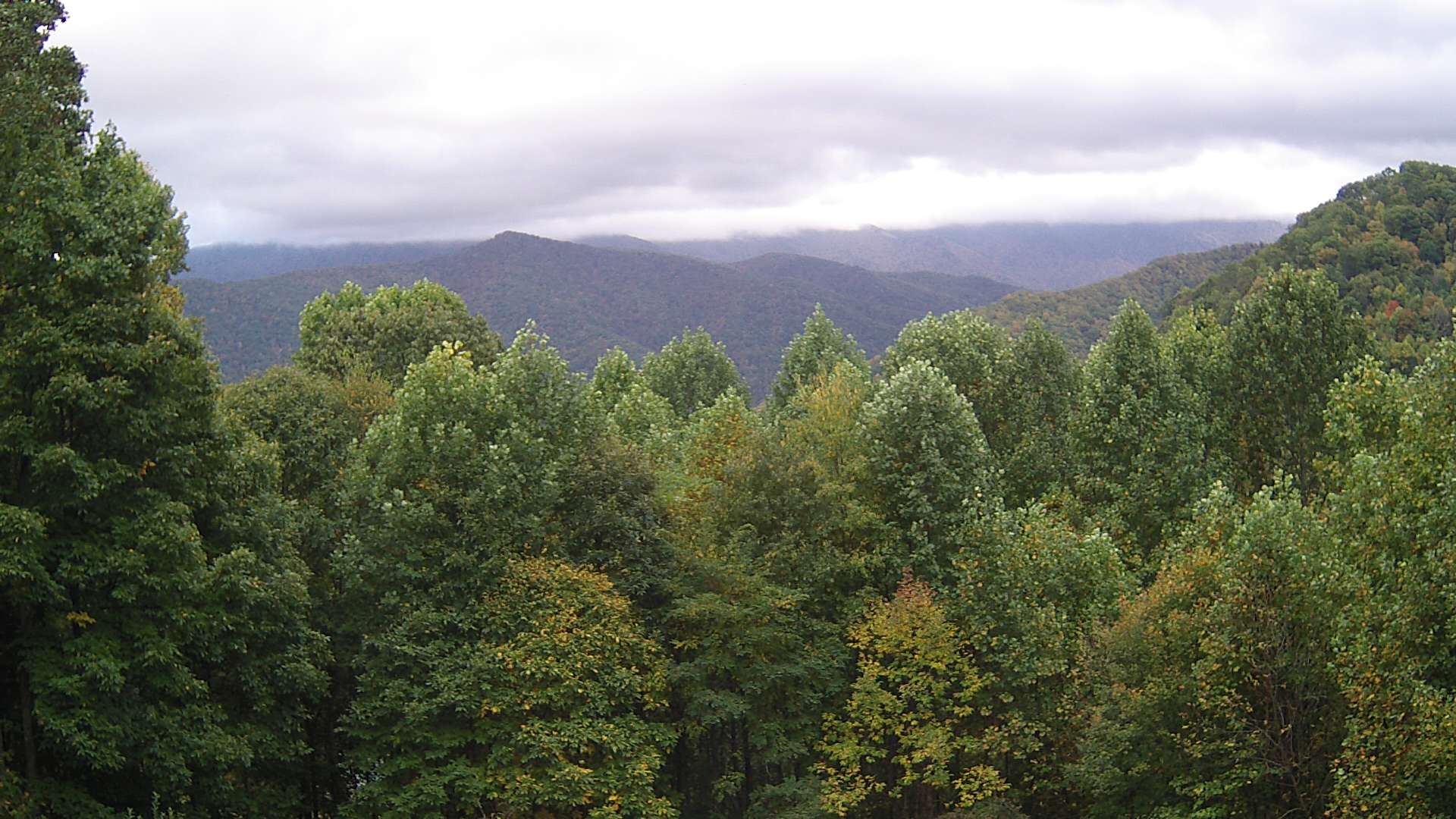 click for next image... slideshow image