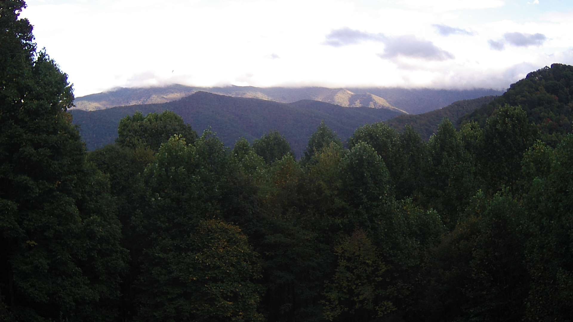 click for next image... slideshow image