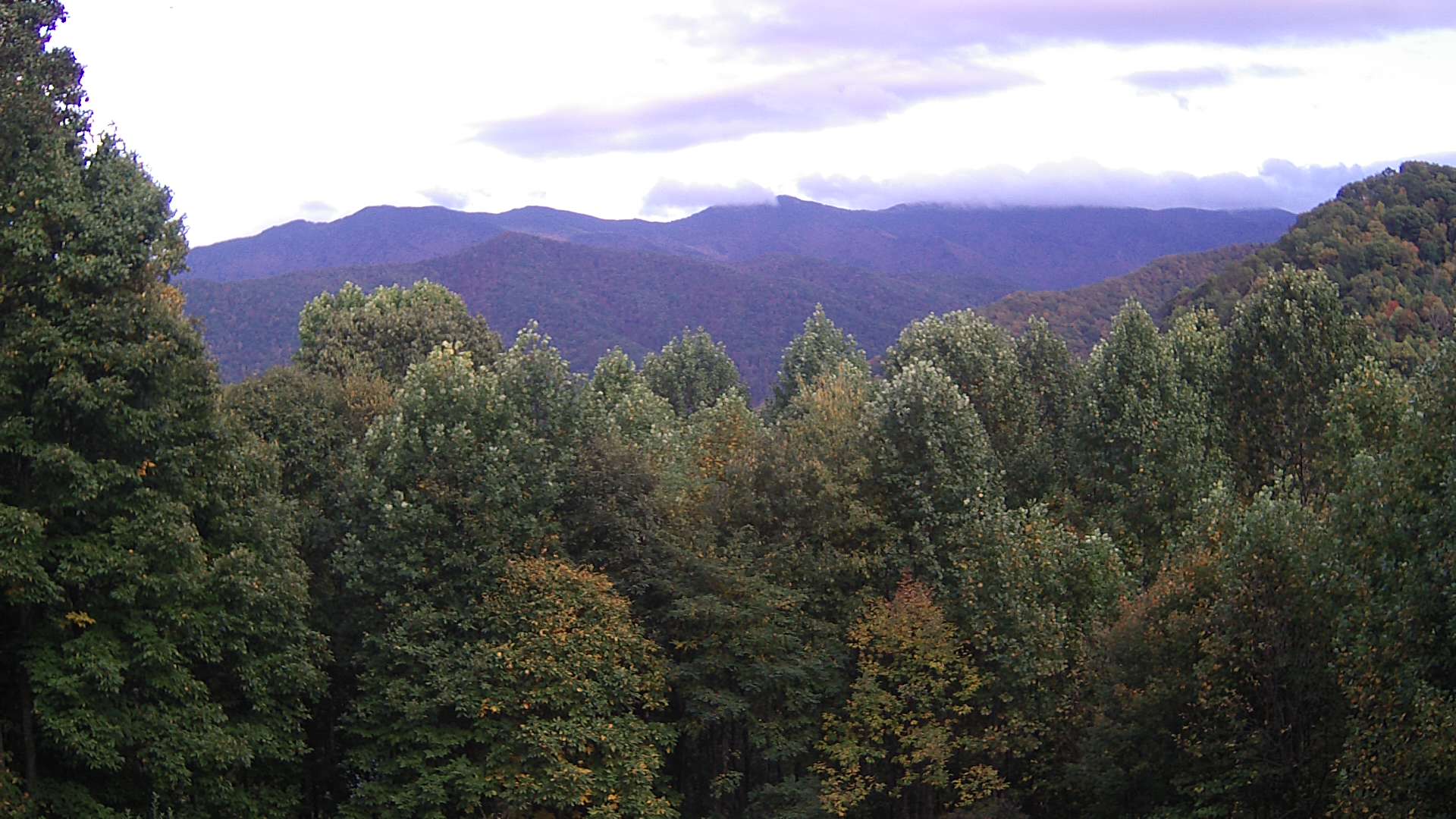 click for next image... slideshow image