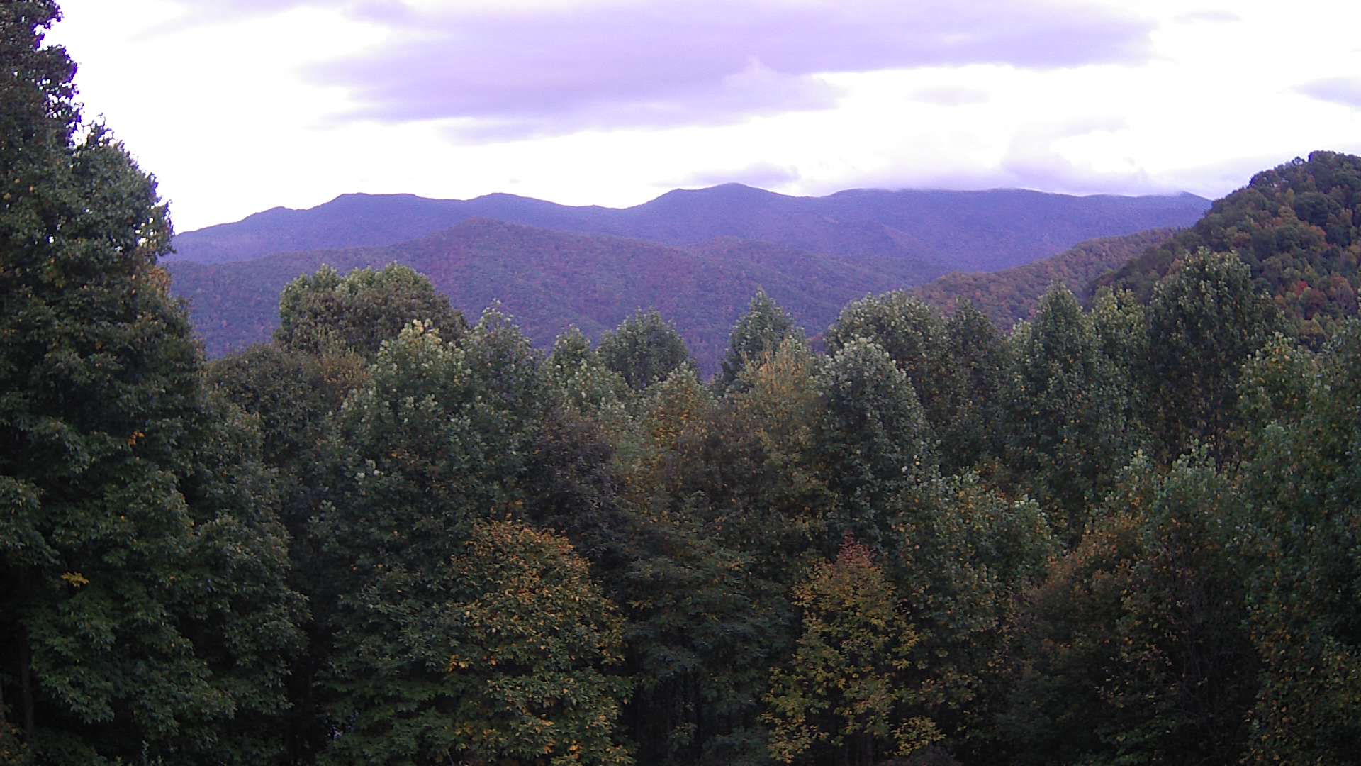 click for next image... slideshow image