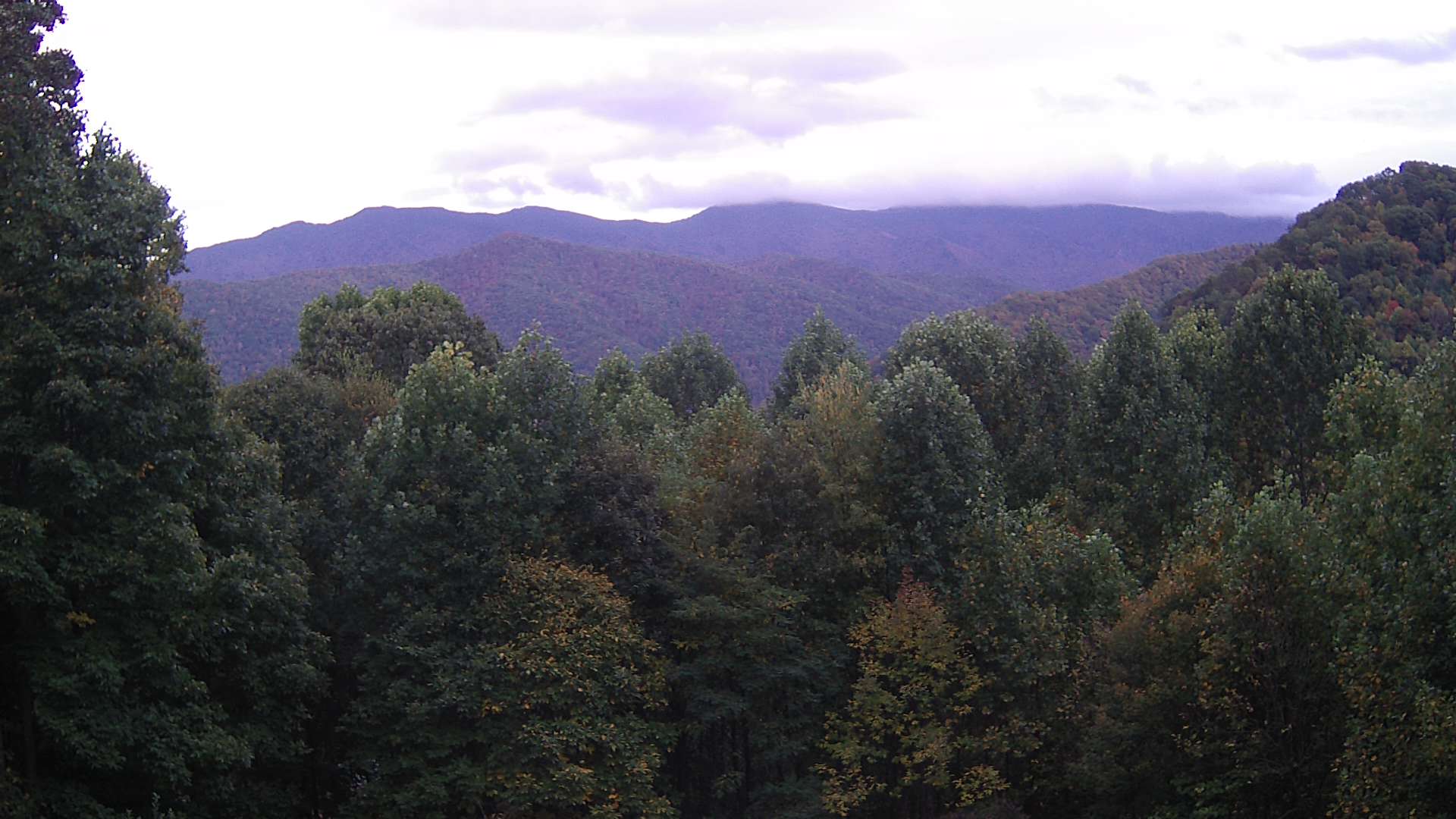 click for next image... slideshow image