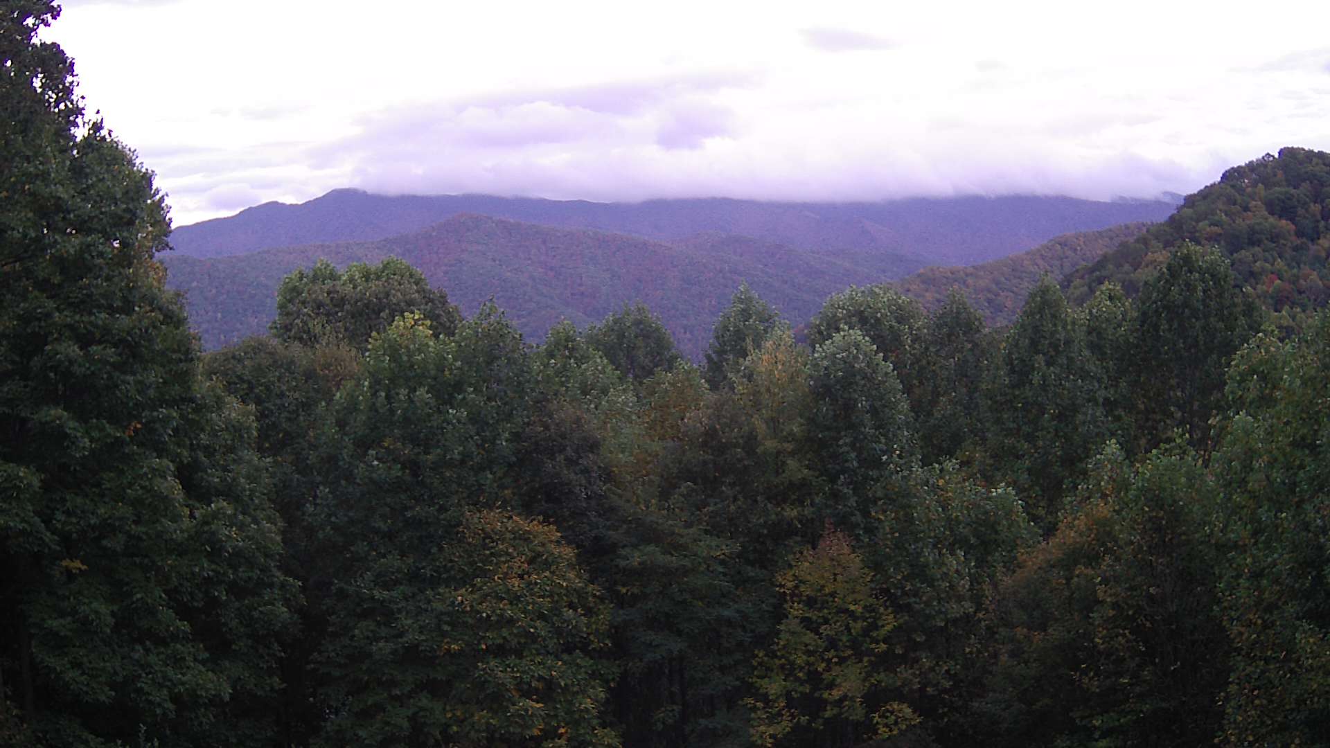 click for next image... slideshow image