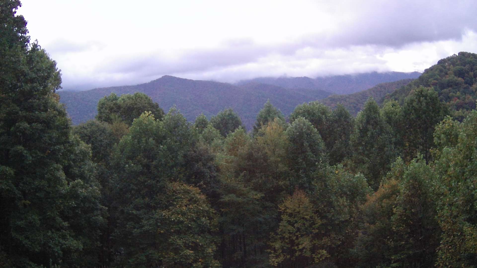 click for next image... slideshow image