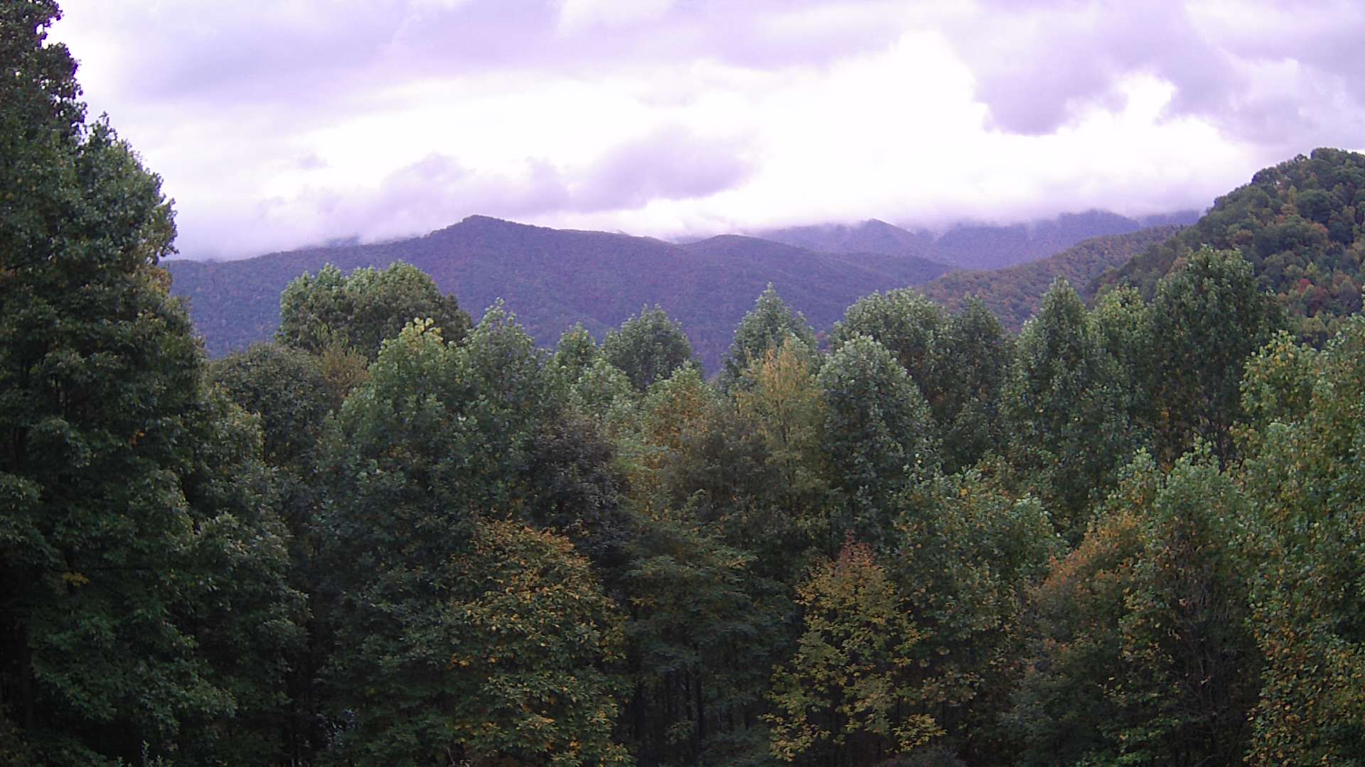 click for next image... slideshow image