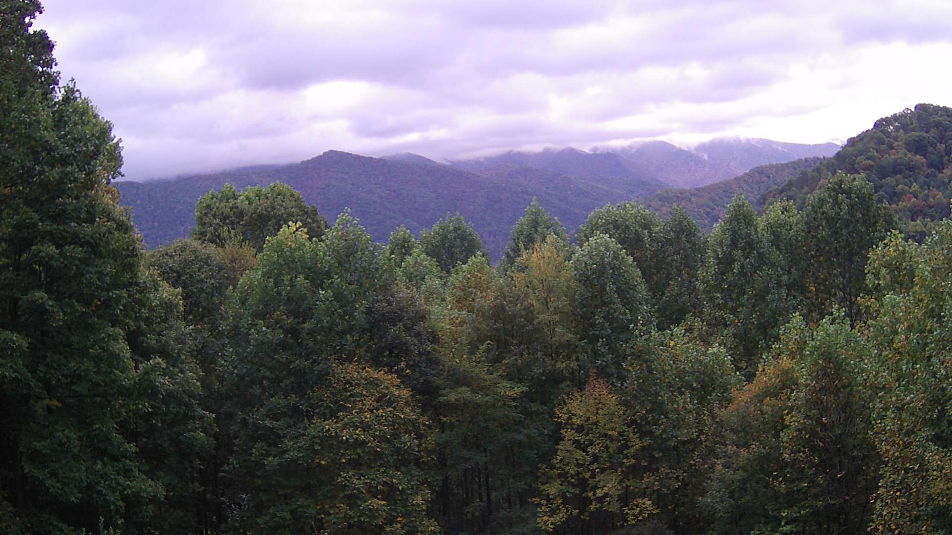 click for next image... slideshow image