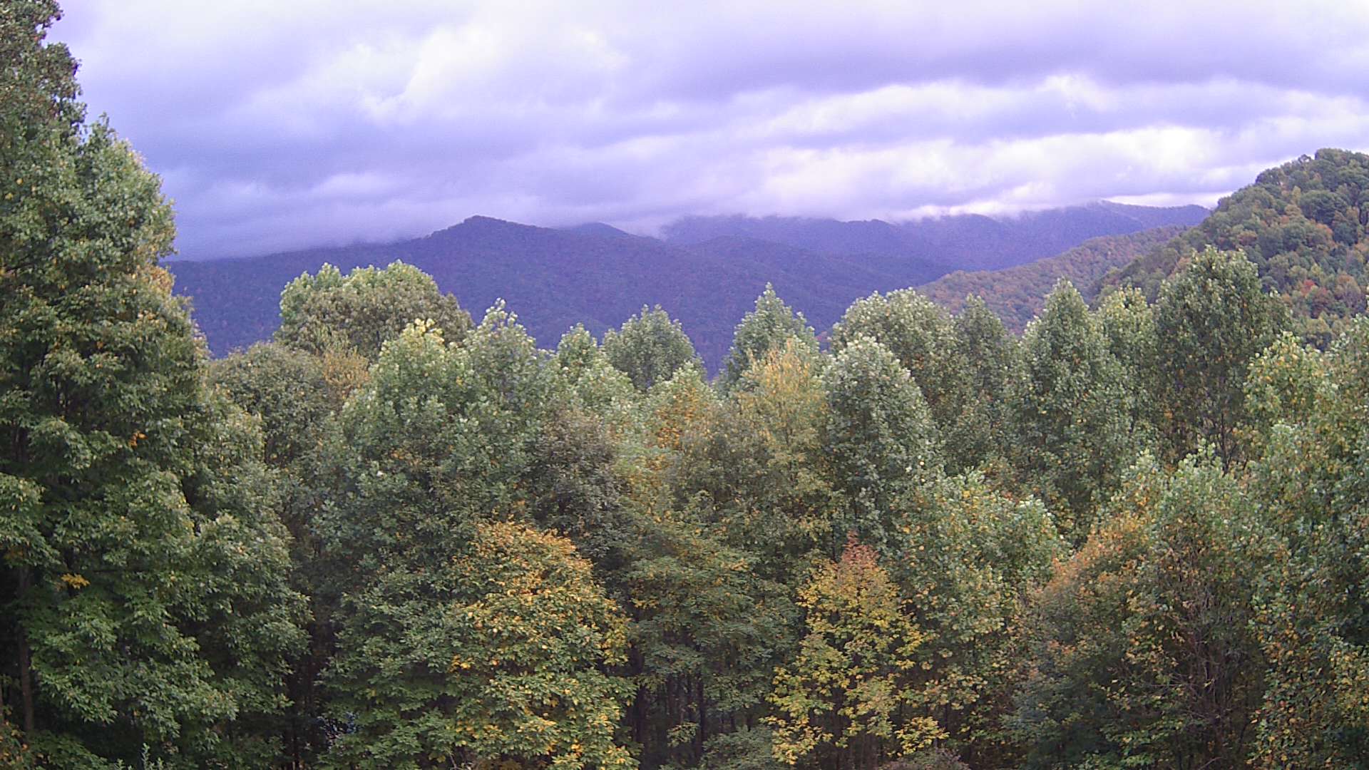 click for next image... slideshow image