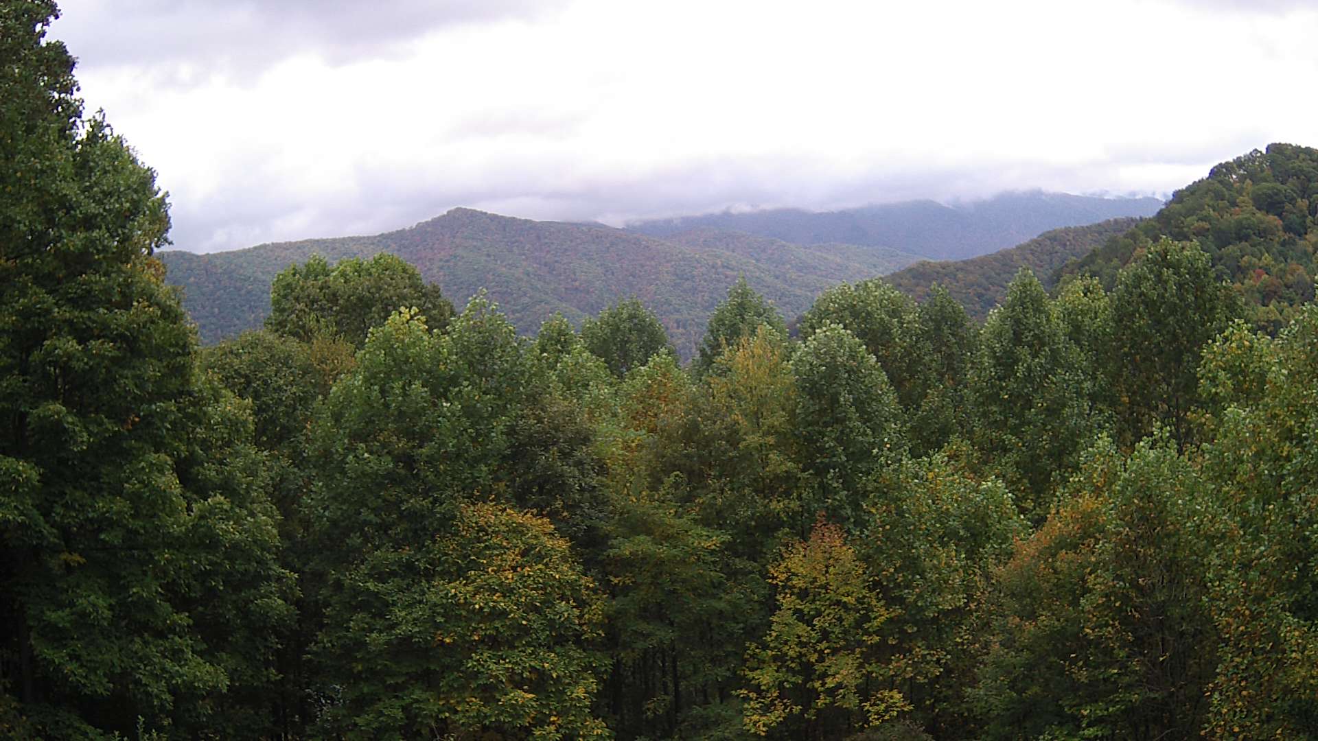 click for next image... slideshow image