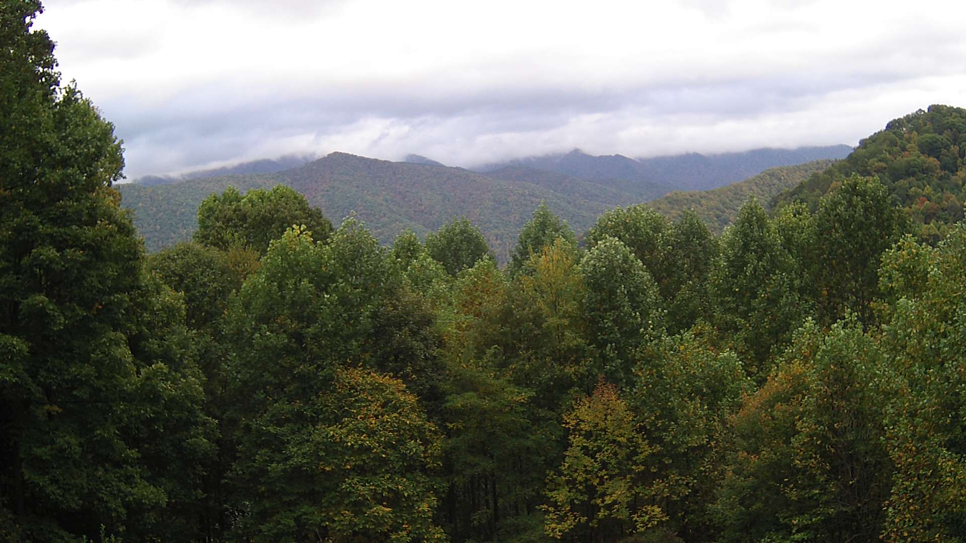 click for next image... slideshow image