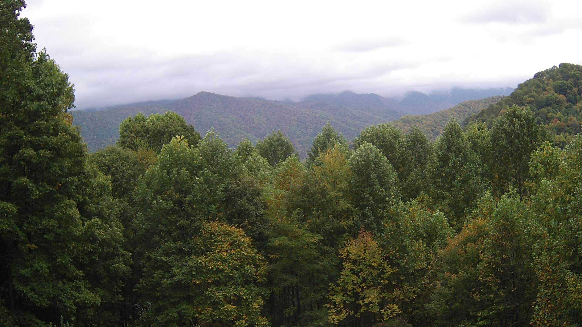 click for next image... slideshow image