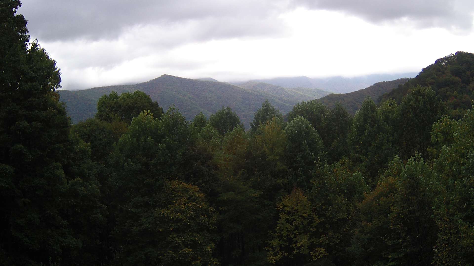 click for next image... slideshow image