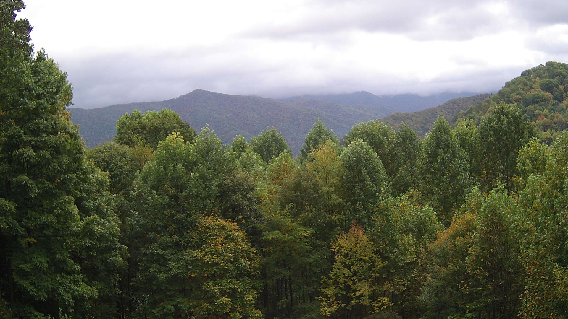 click for next image... slideshow image