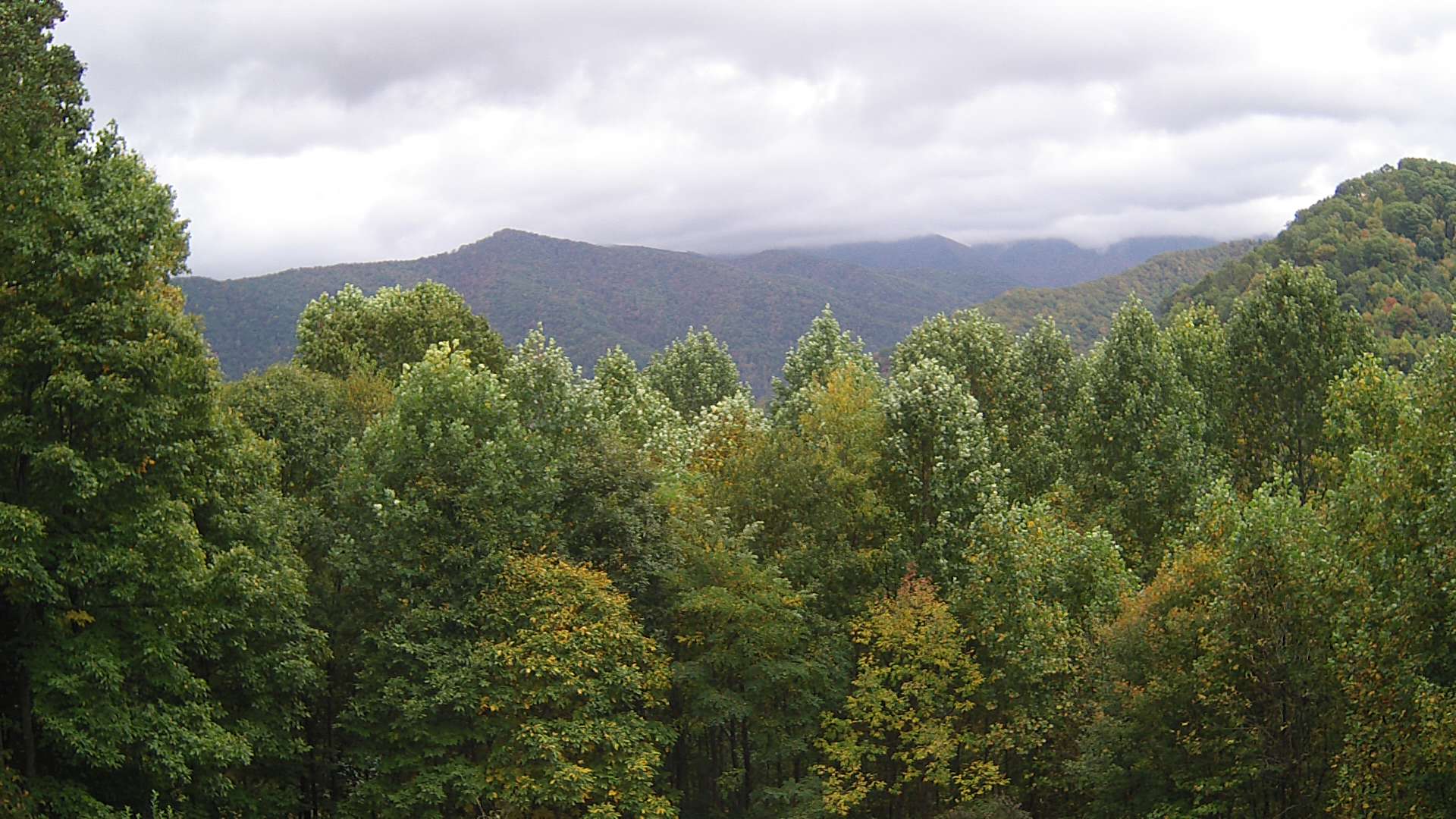 click for next image... slideshow image