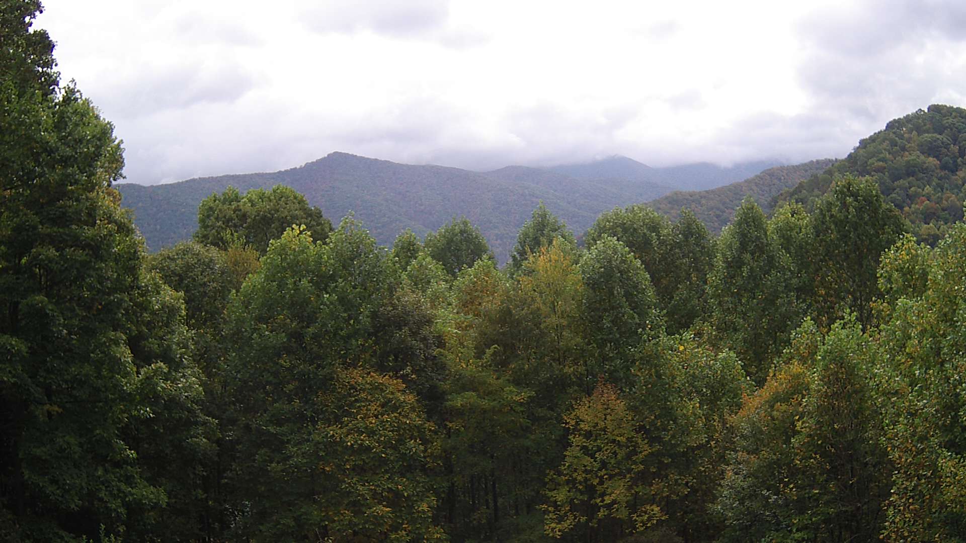 click for next image... slideshow image